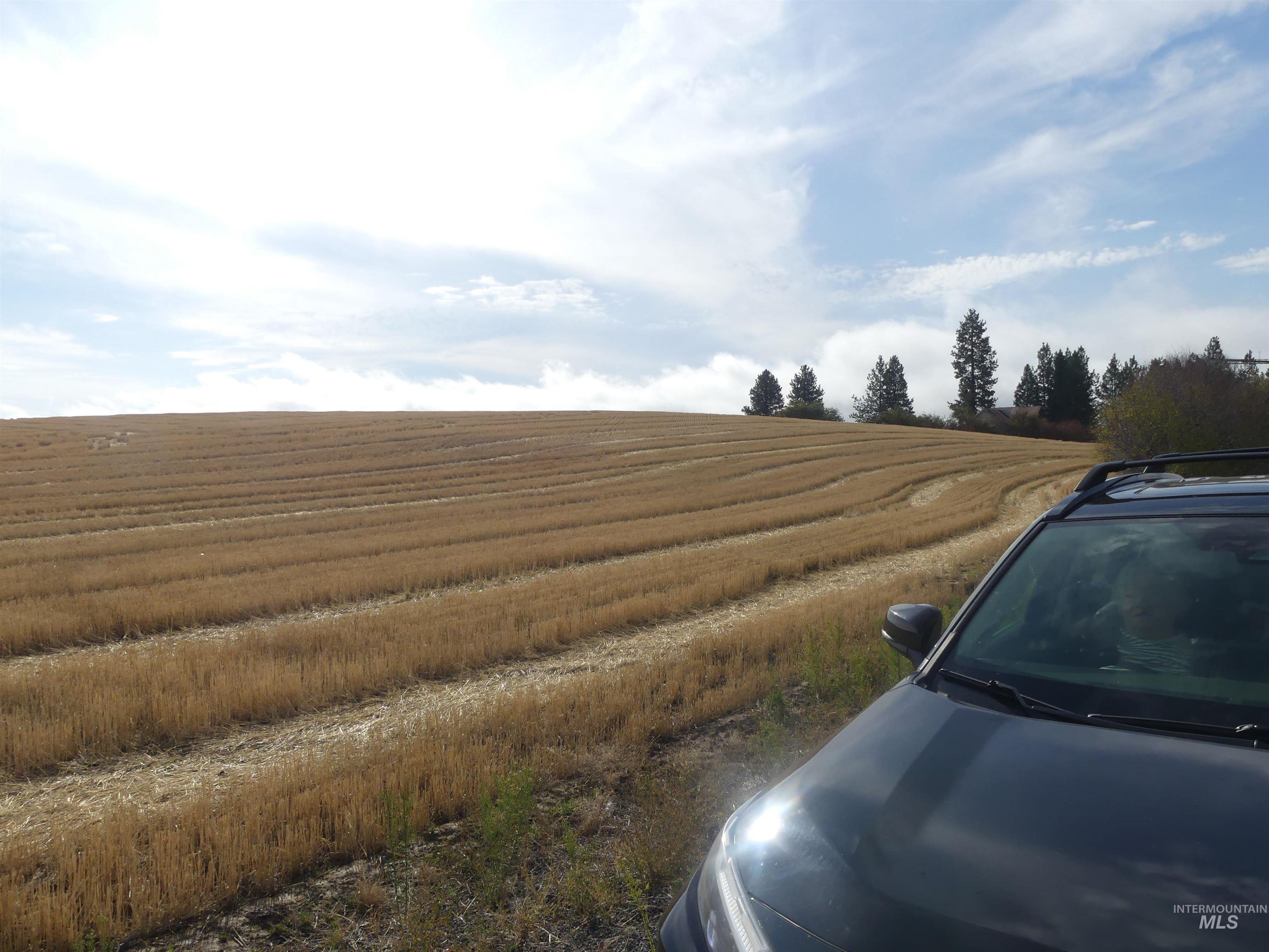 13250 CAVENDISH HWY, Kendrick, Idaho 83537, Land For Sale, Price $249,000, 99001318