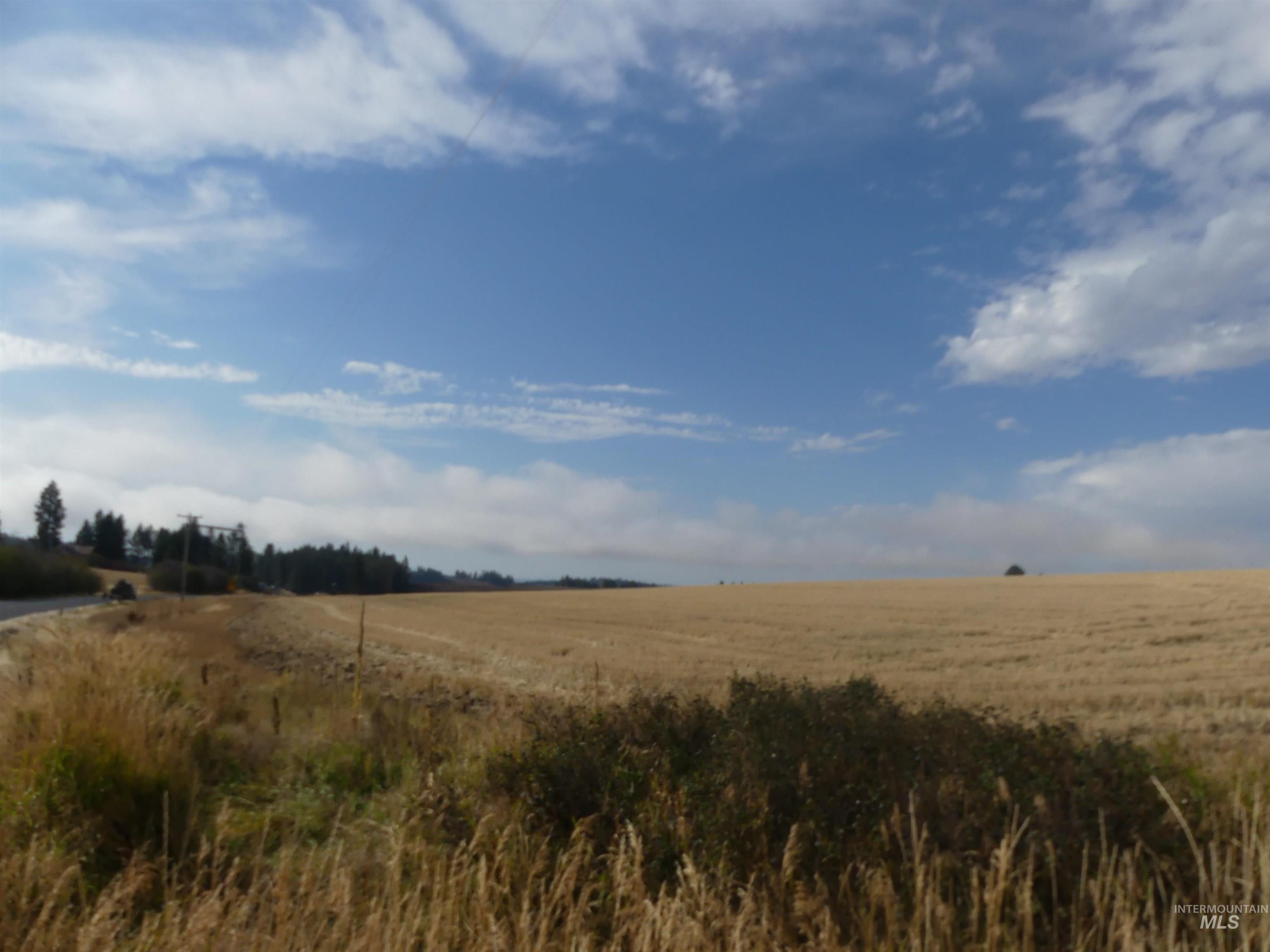 13250 CAVENDISH HWY, Kendrick, Idaho 83537, Land For Sale, Price $249,000, 99001318