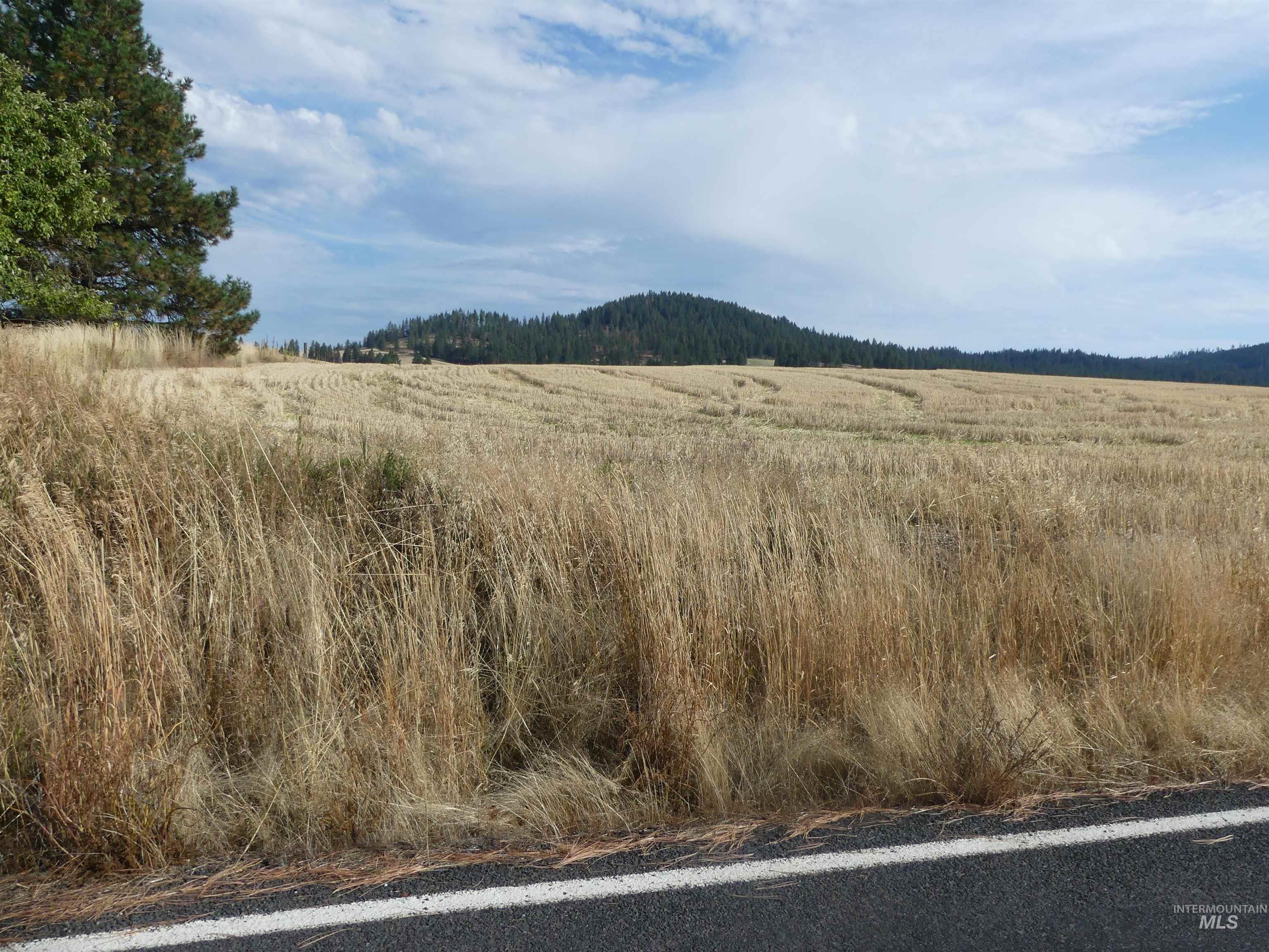 13250 CAVENDISH HWY, Kendrick, Idaho 83537, Land For Sale, Price $249,000, 99001318