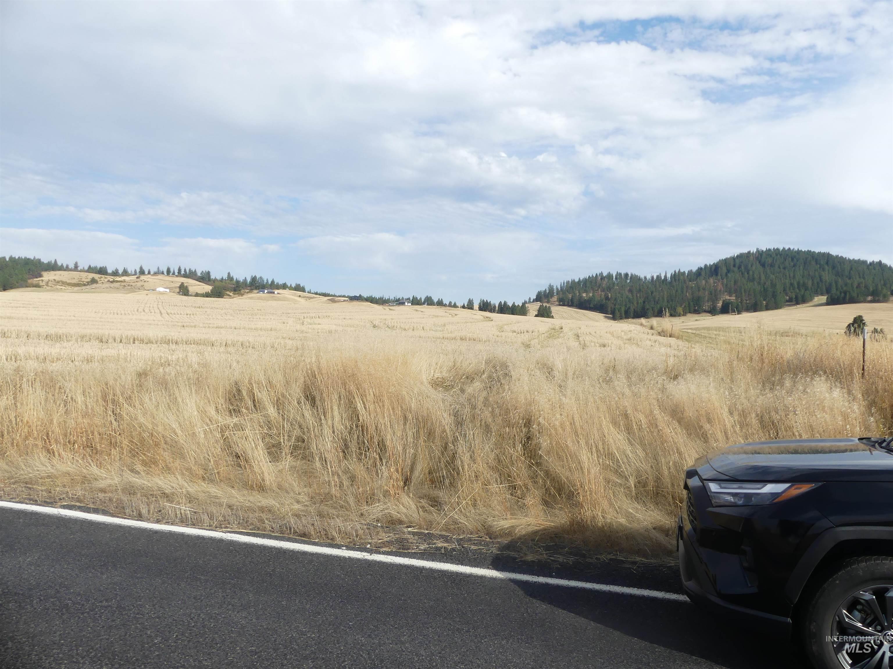 13250 CAVENDISH HWY, Kendrick, Idaho 83537, Land For Sale, Price $249,000, 99001318