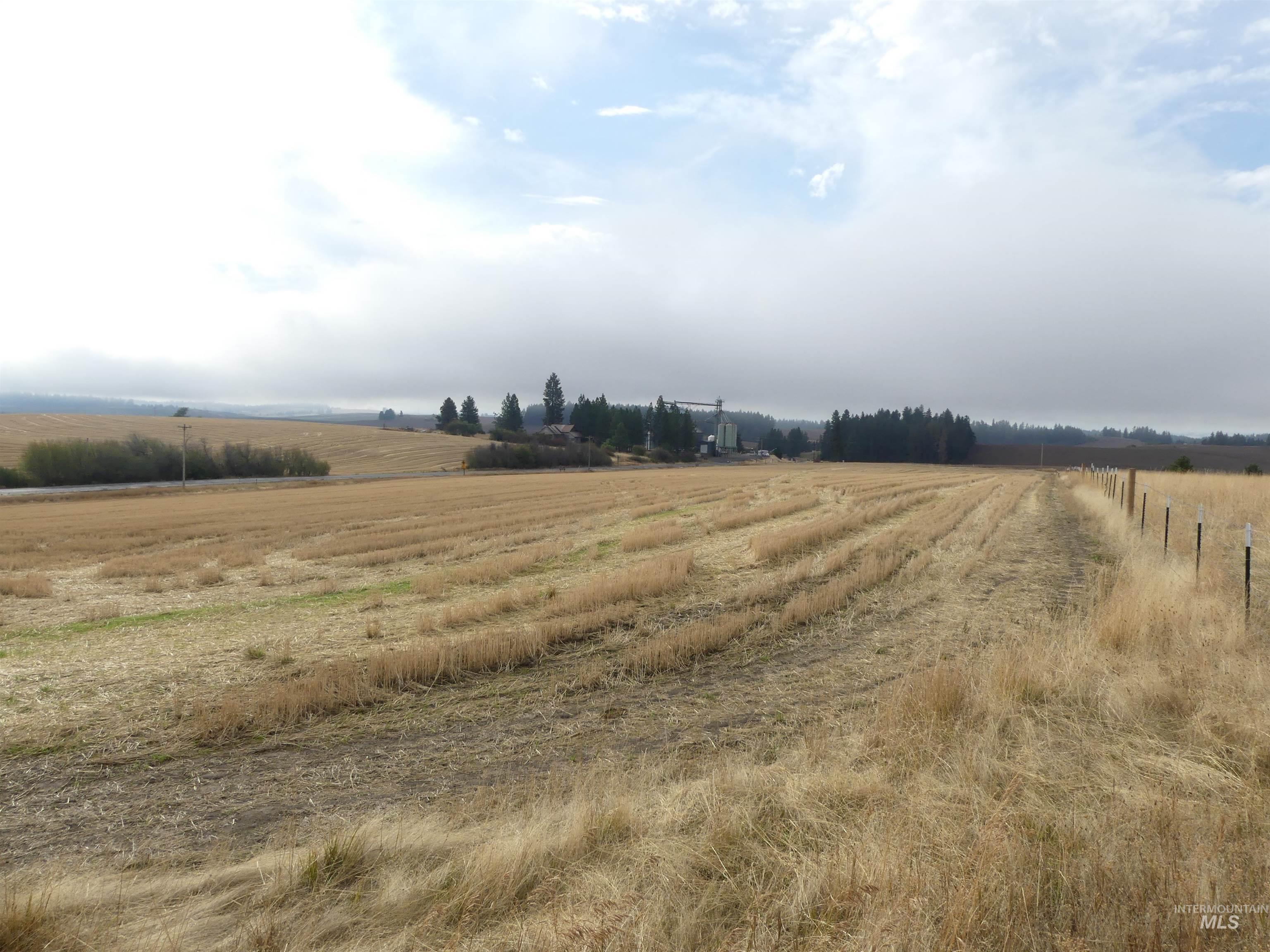 13250 CAVENDISH HWY, Kendrick, Idaho 83537, Land For Sale, Price $249,000, 99001318