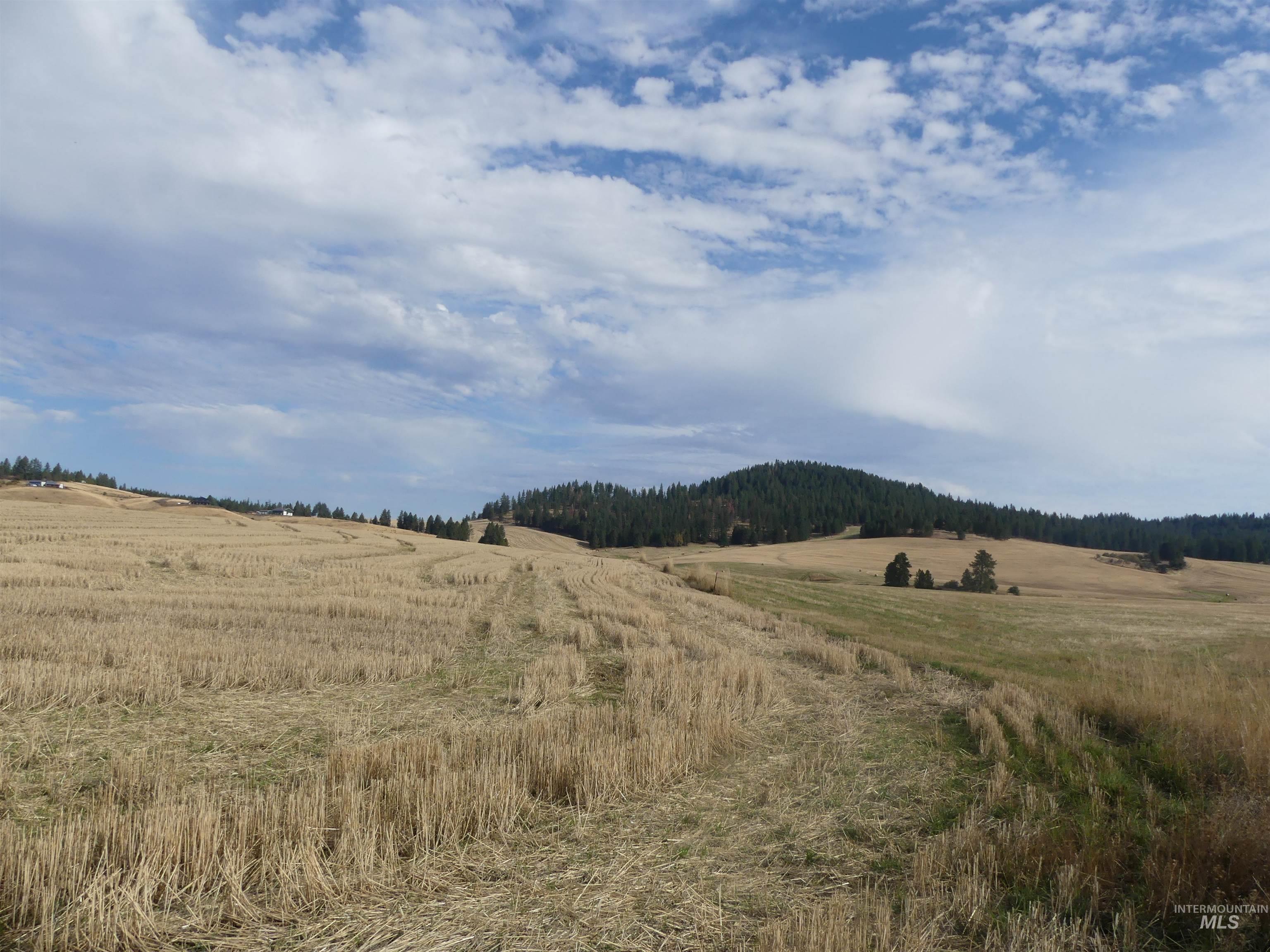 13250 CAVENDISH HWY, Kendrick, Idaho 83537, Land For Sale, Price $249,000, 99001318