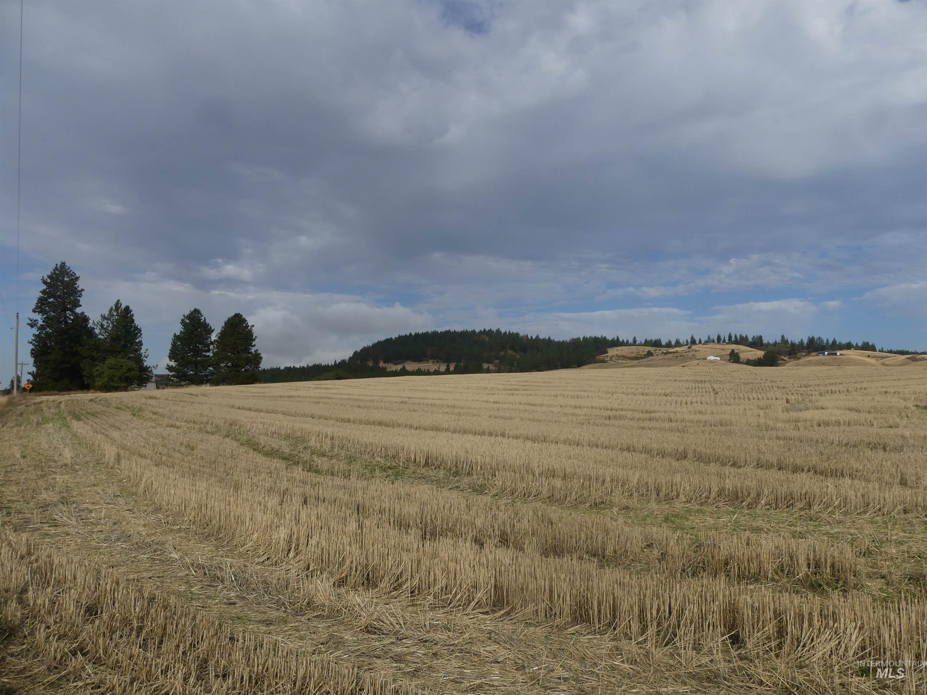 13250 CAVENDISH HWY, Kendrick, Idaho 83537, Land For Sale, Price $249,000, 99001318
