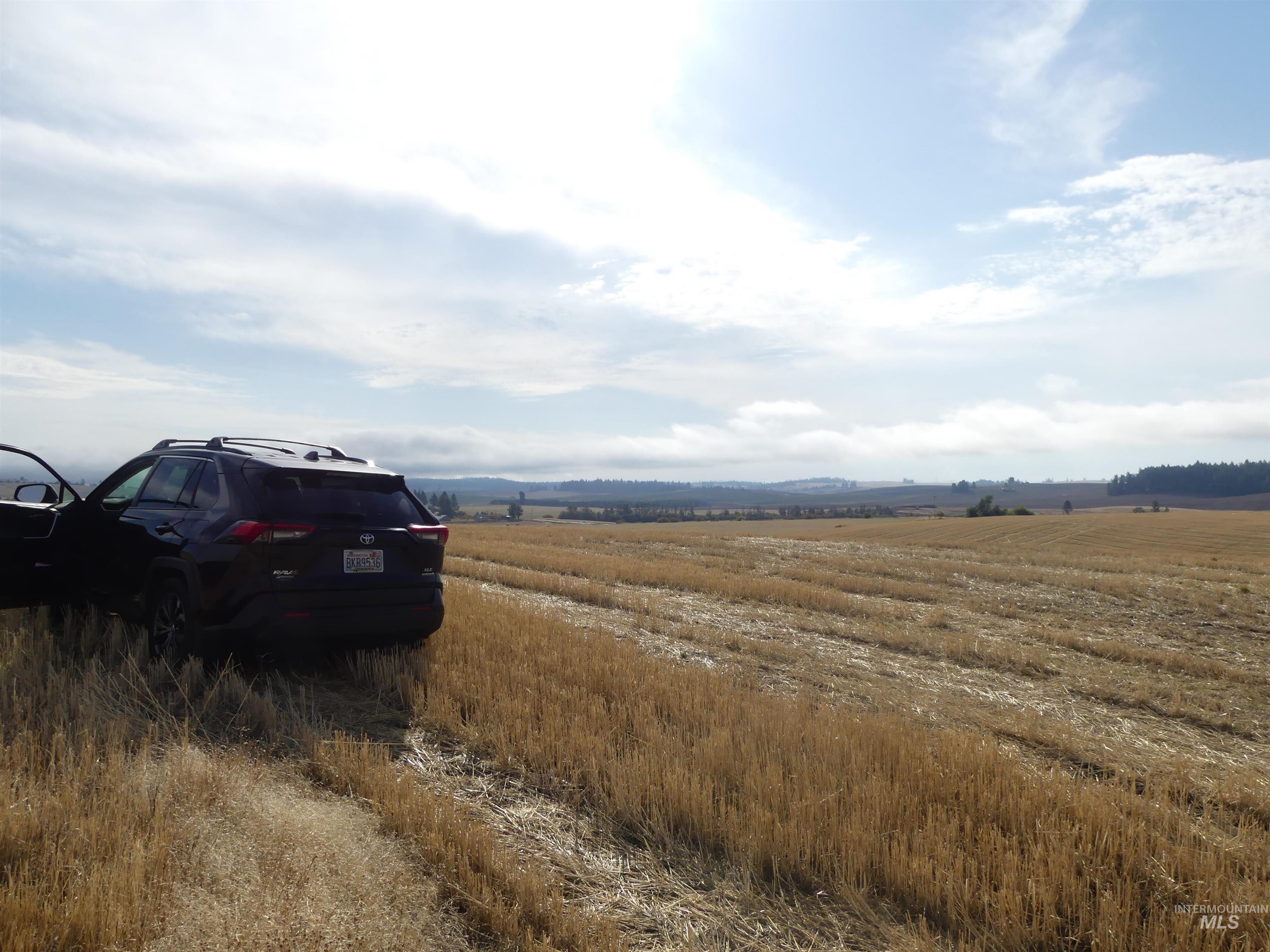 13250 CAVENDISH HWY, Kendrick, Idaho 83537, Land For Sale, Price $249,000, 99001318