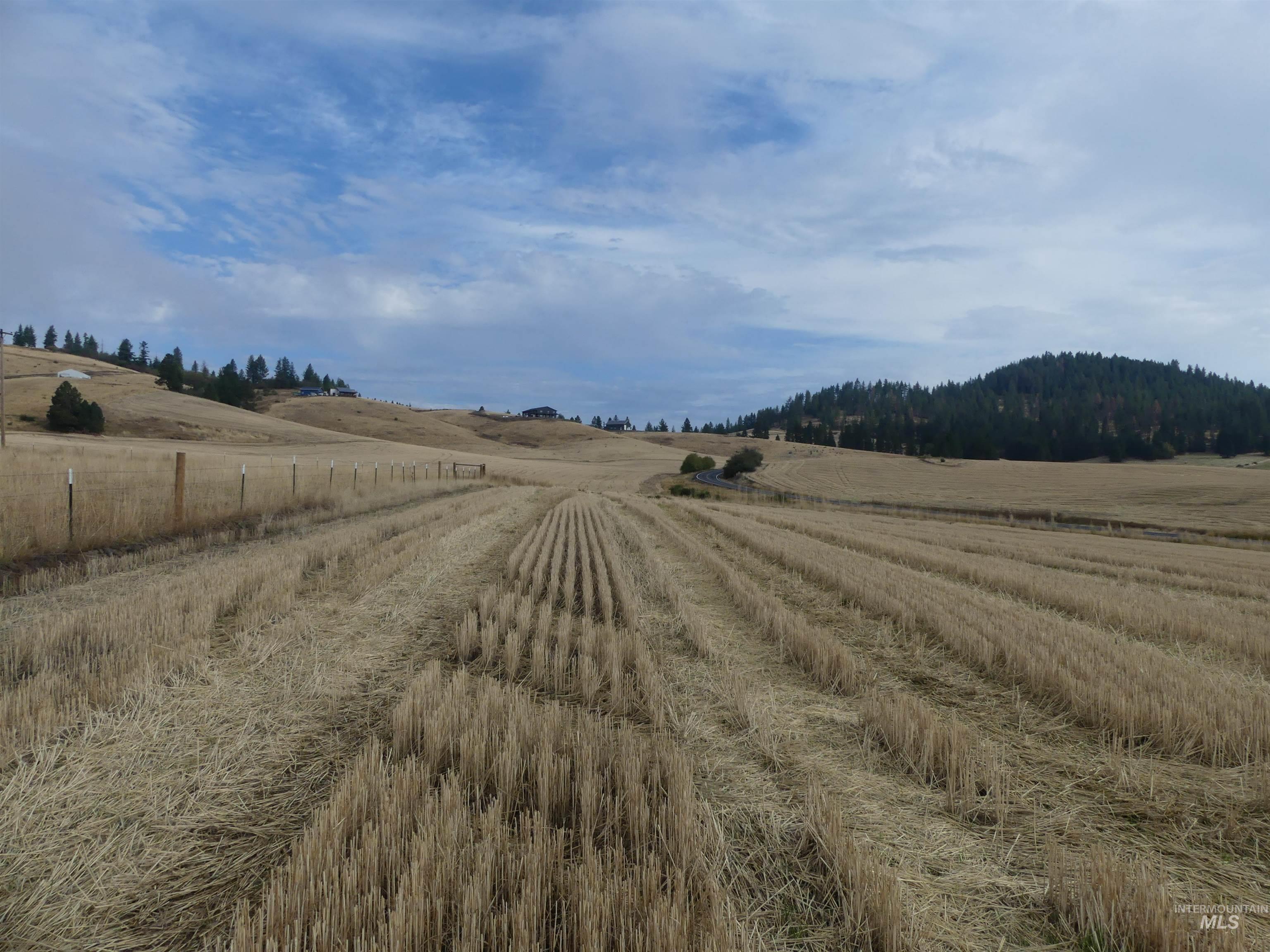 13250 CAVENDISH HWY, Kendrick, Idaho 83537, Land For Sale, Price $249,000, 99001318