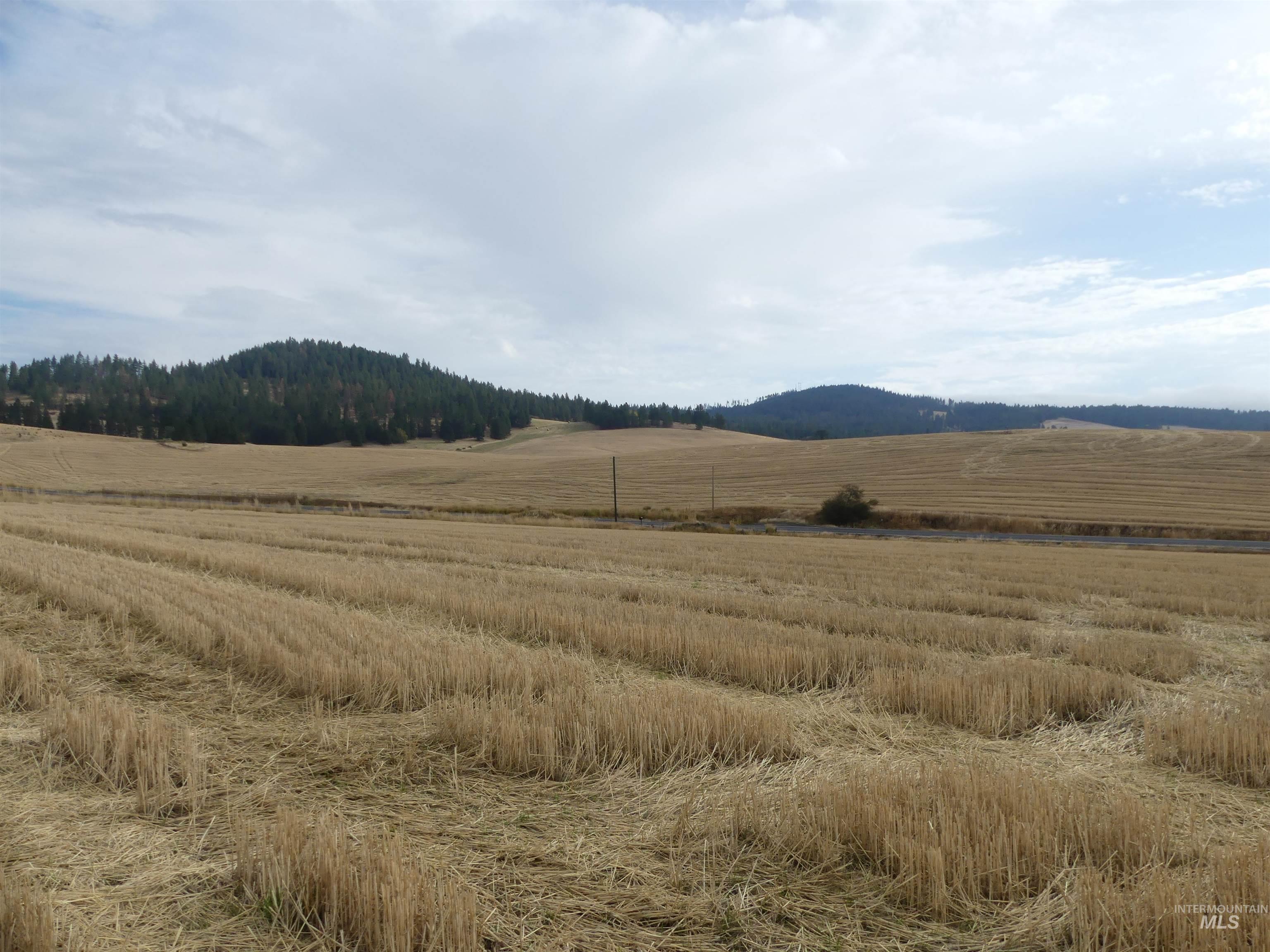13250 CAVENDISH HWY, Kendrick, Idaho 83537, Land For Sale, Price $249,000, 99001318