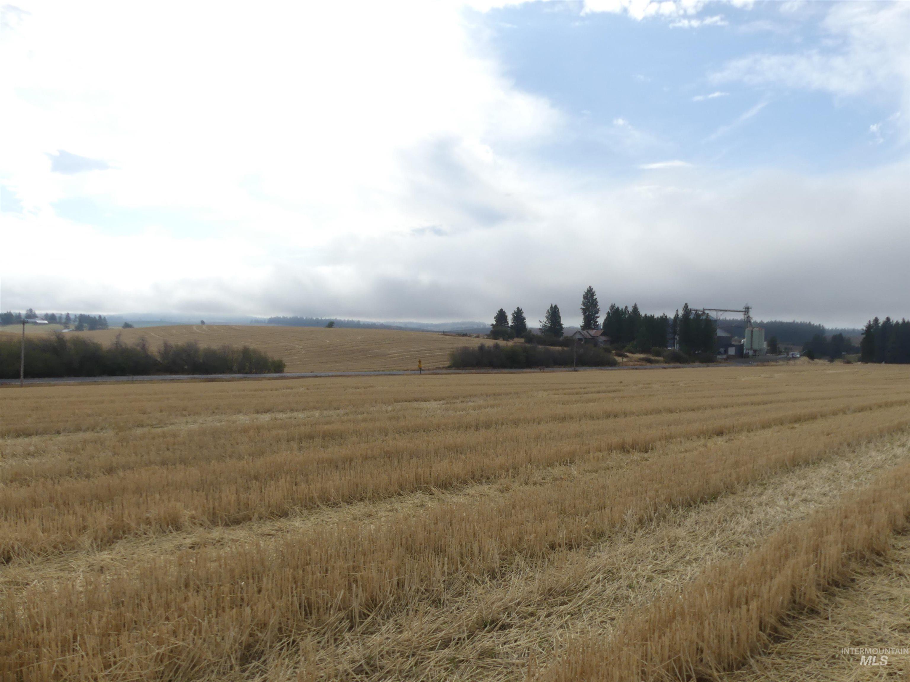 13250 CAVENDISH HWY, Kendrick, Idaho 83537, Land For Sale, Price $249,000, 99001318