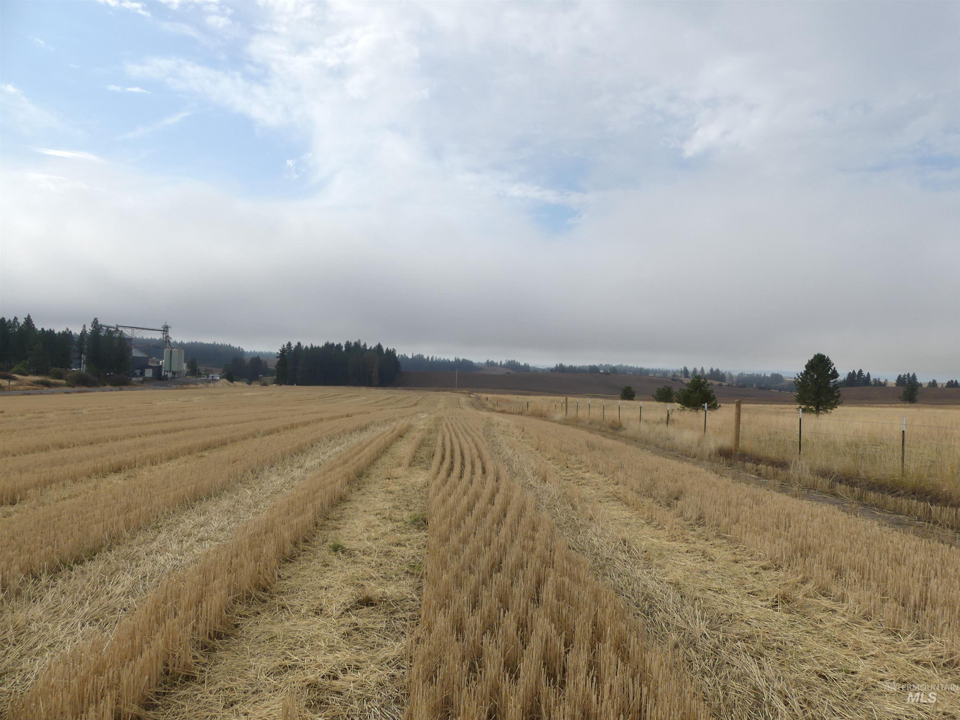 13250 CAVENDISH HWY, Kendrick, Idaho 83537, Land For Sale, Price $249,000, 99001318