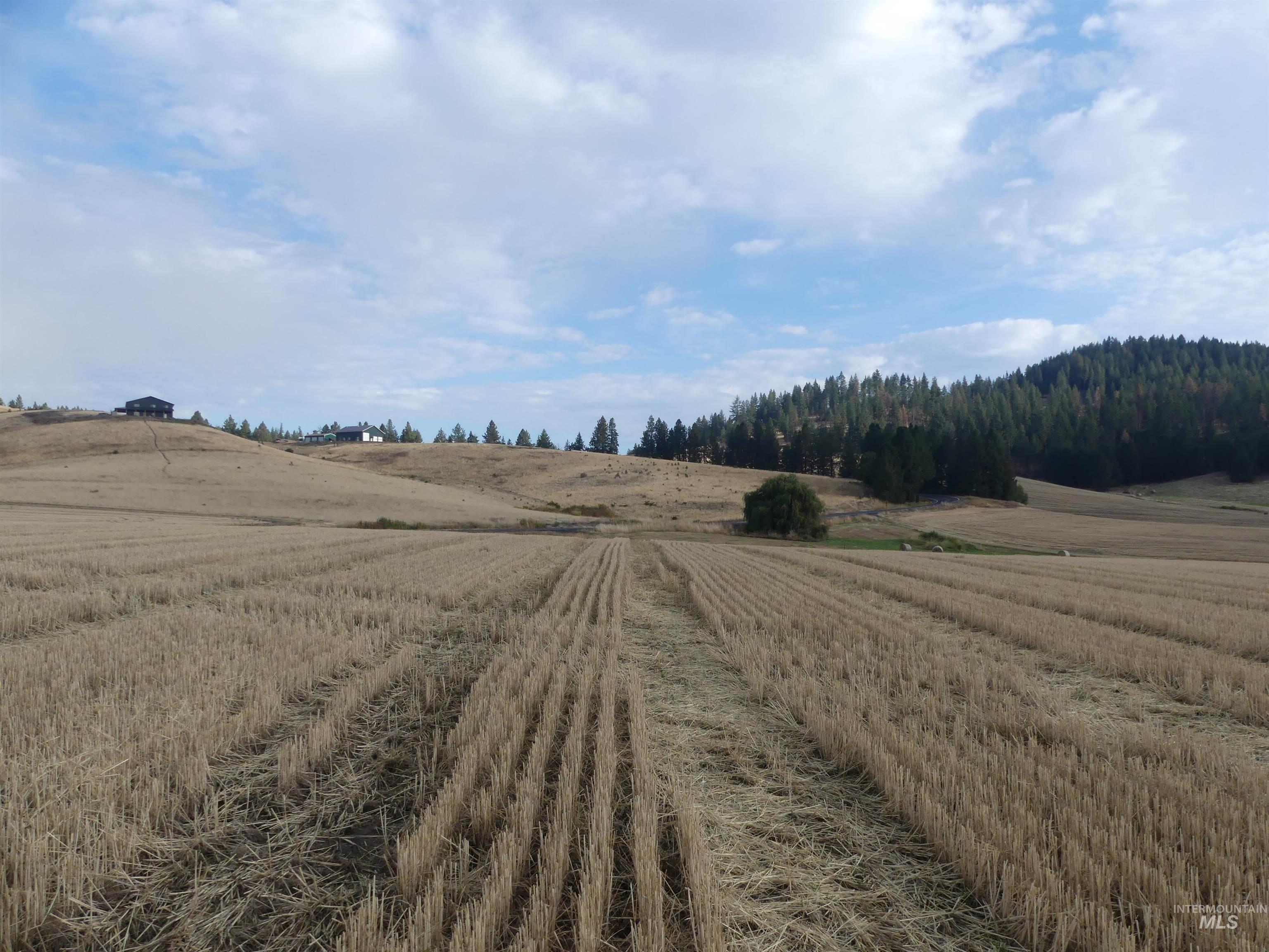 13525 CAVENDISH HWY, Kendrick, Idaho 83537, Land For Sale, Price $150,000,MLS 99001323