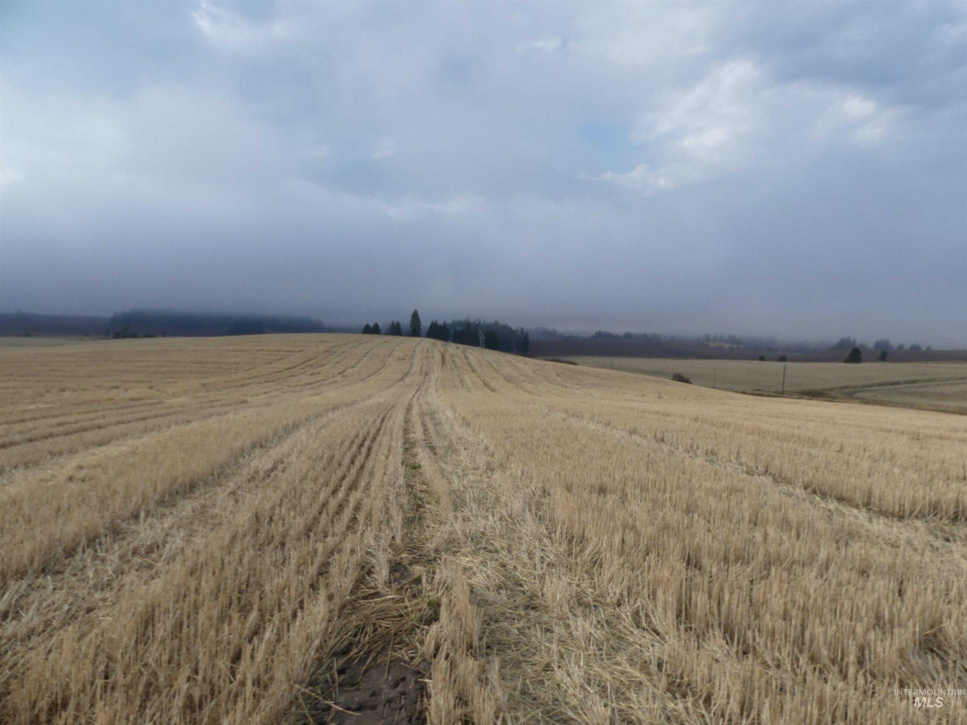 13525 CAVENDISH HWY, Kendrick, Idaho 83537, Land For Sale, Price $150,000,MLS 99001323