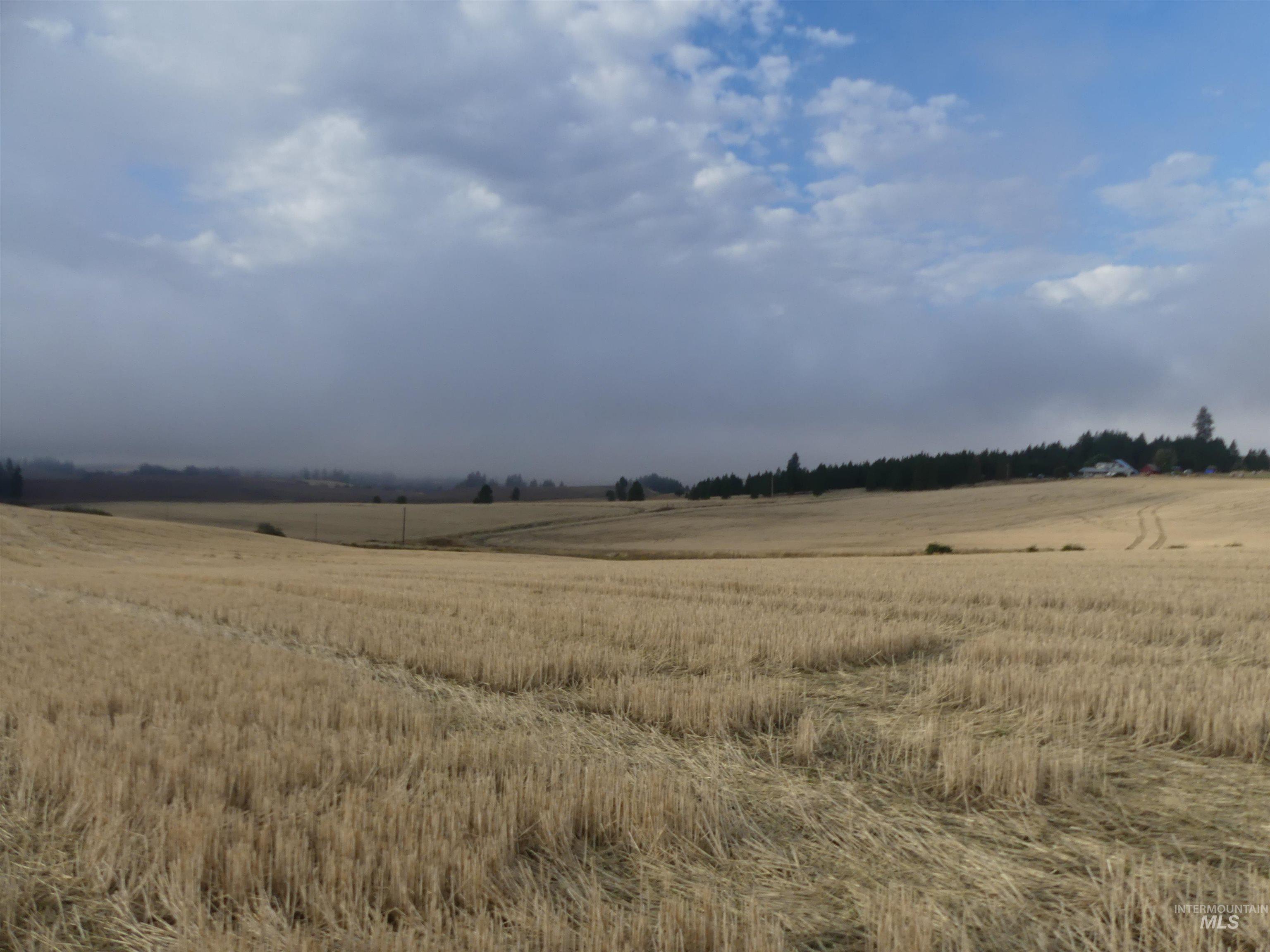 13525 CAVENDISH HWY, Kendrick, Idaho 83537, Land For Sale, Price $150,000,MLS 99001323