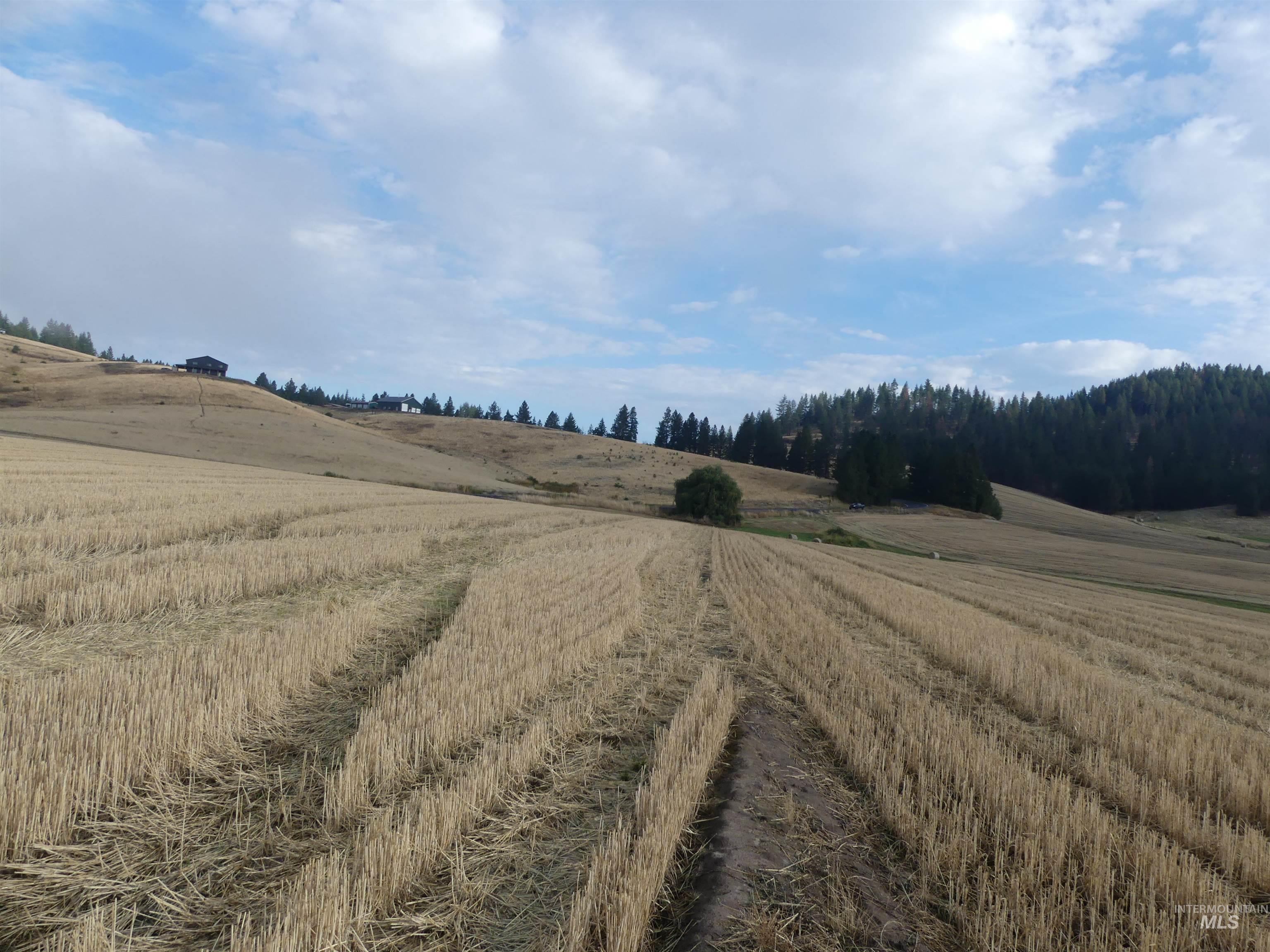 13525 CAVENDISH HWY, Kendrick, Idaho 83537, Land For Sale, Price $150,000,MLS 99001323
