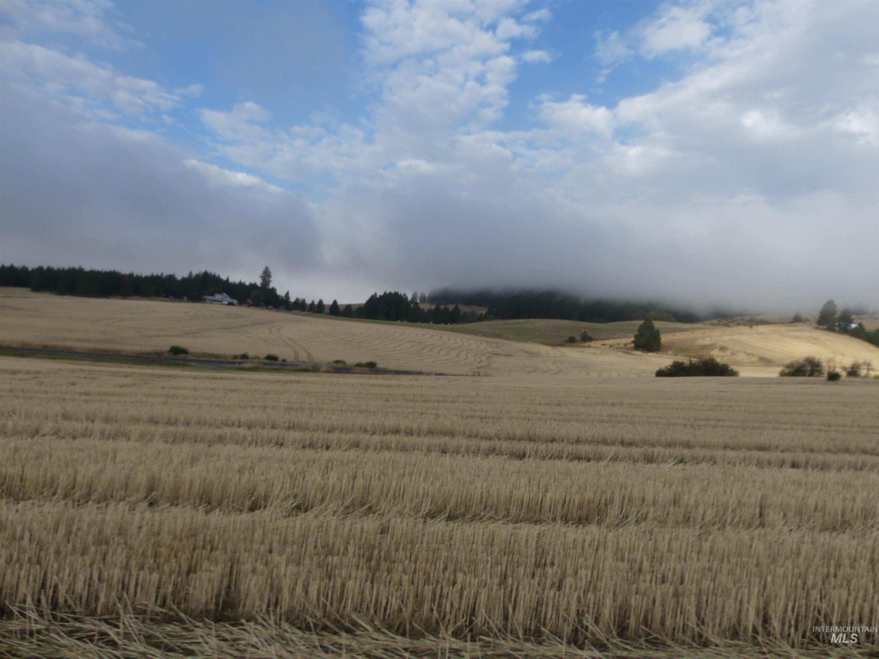 13525 CAVENDISH HWY, Kendrick, Idaho 83537, Land For Sale, Price $150,000,MLS 99001323