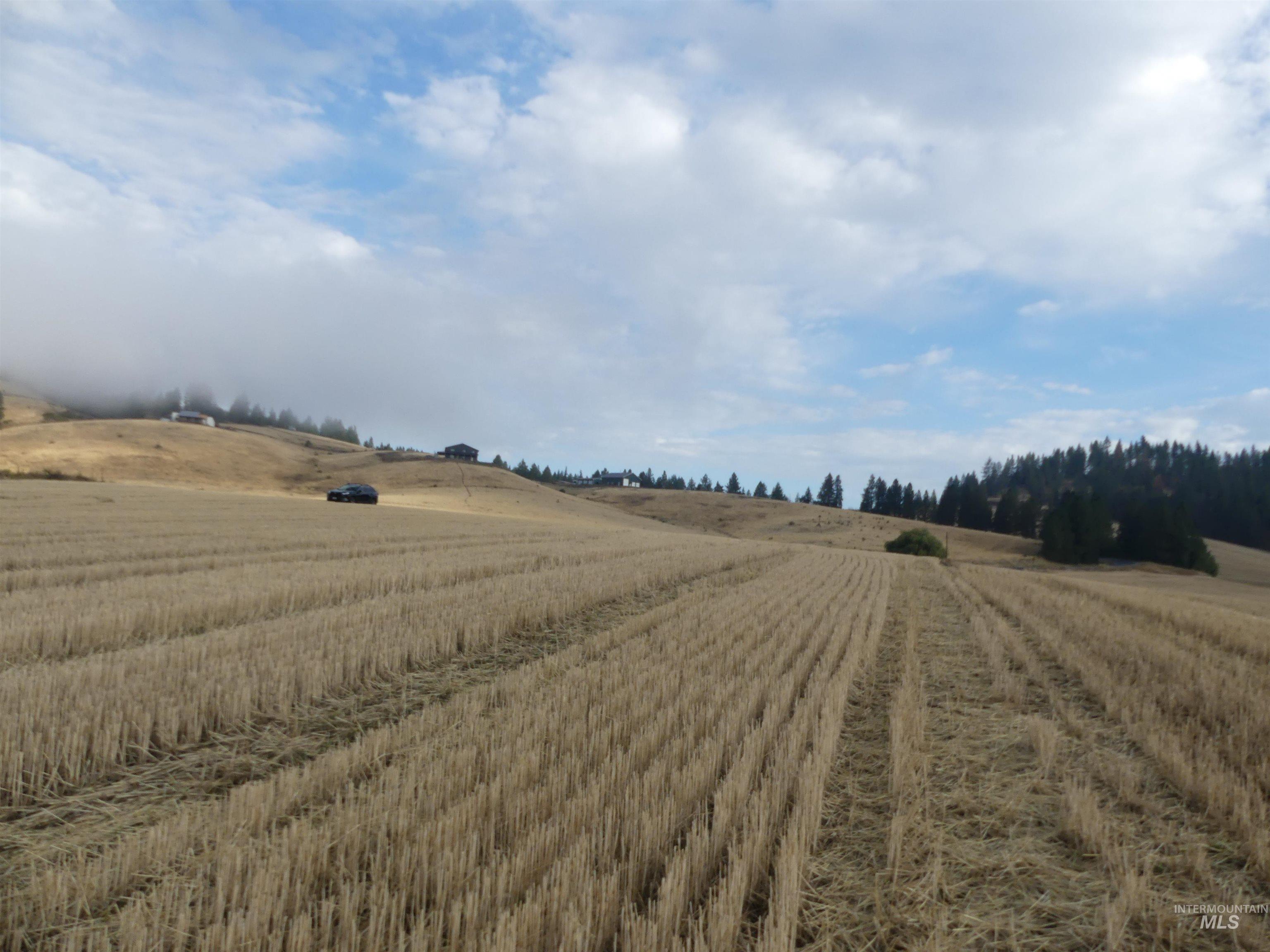 13525 CAVENDISH HWY, Kendrick, Idaho 83537, Land For Sale, Price $150,000,MLS 99001323