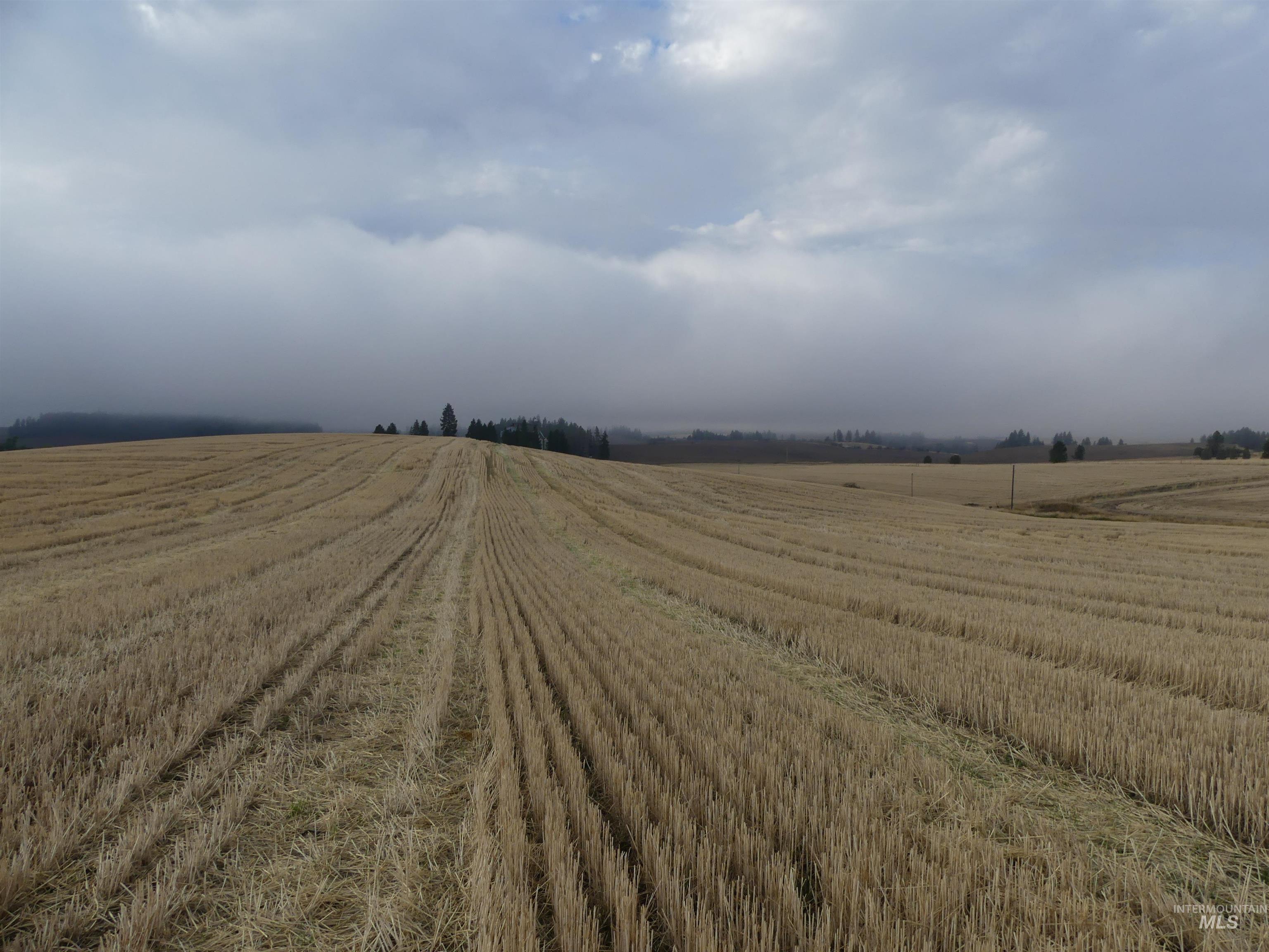 13525 CAVENDISH HWY, Kendrick, Idaho 83537, Land For Sale, Price $150,000,MLS 99001323