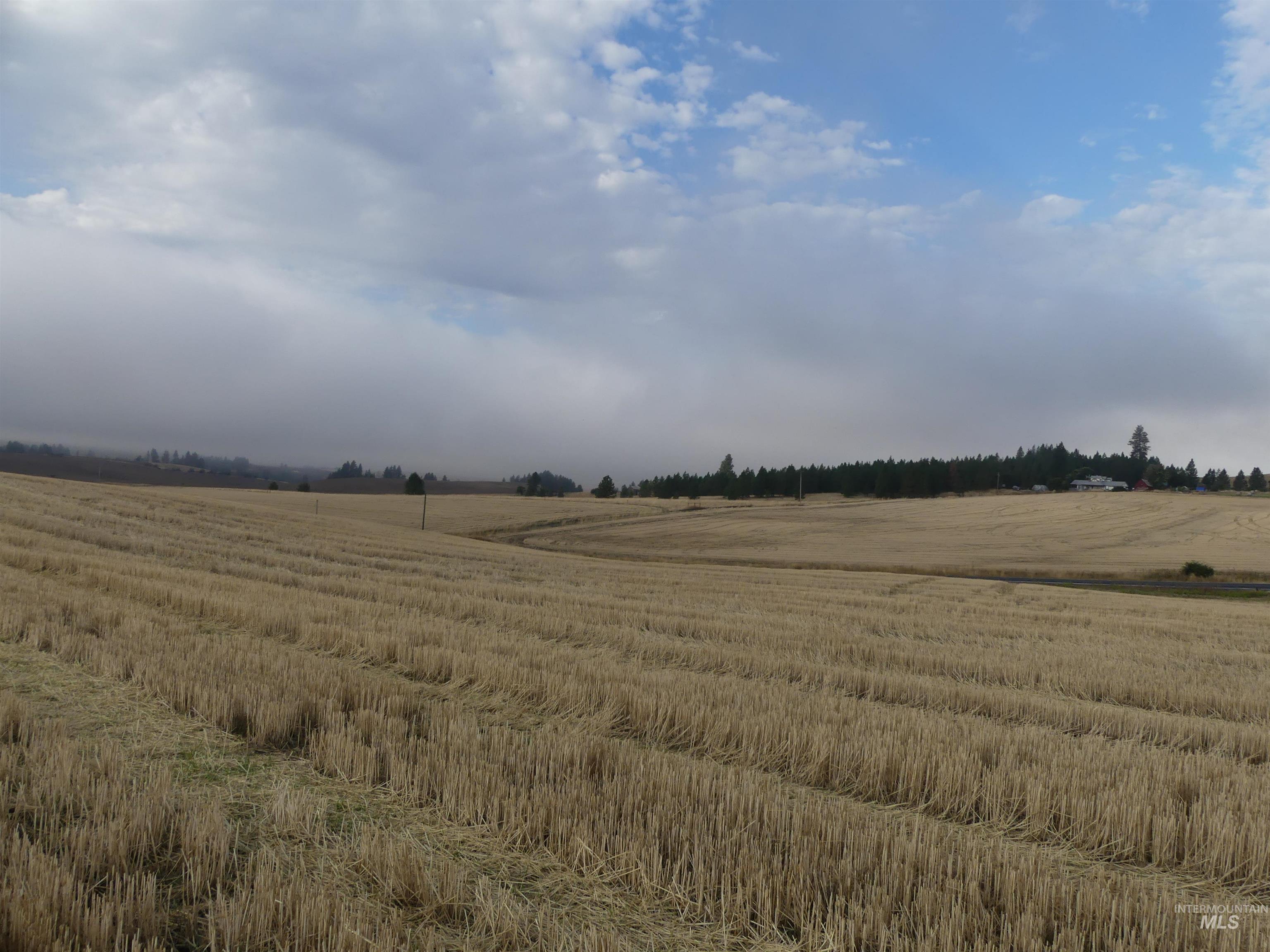 13525 CAVENDISH HWY, Kendrick, Idaho 83537, Land For Sale, Price $150,000,MLS 99001323