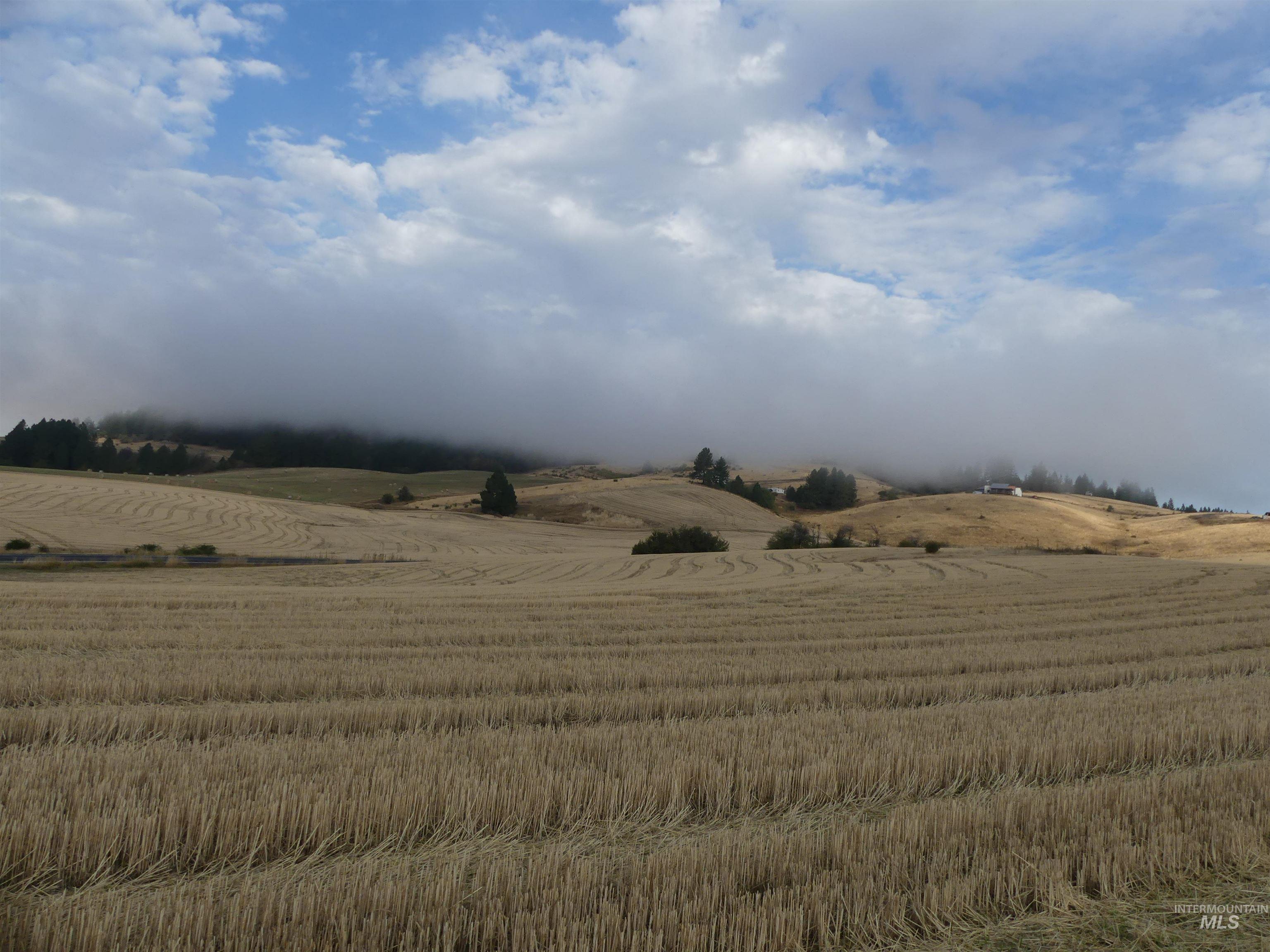 13525 CAVENDISH HWY, Kendrick, Idaho 83537, Land For Sale, Price $150,000,MLS 99001323