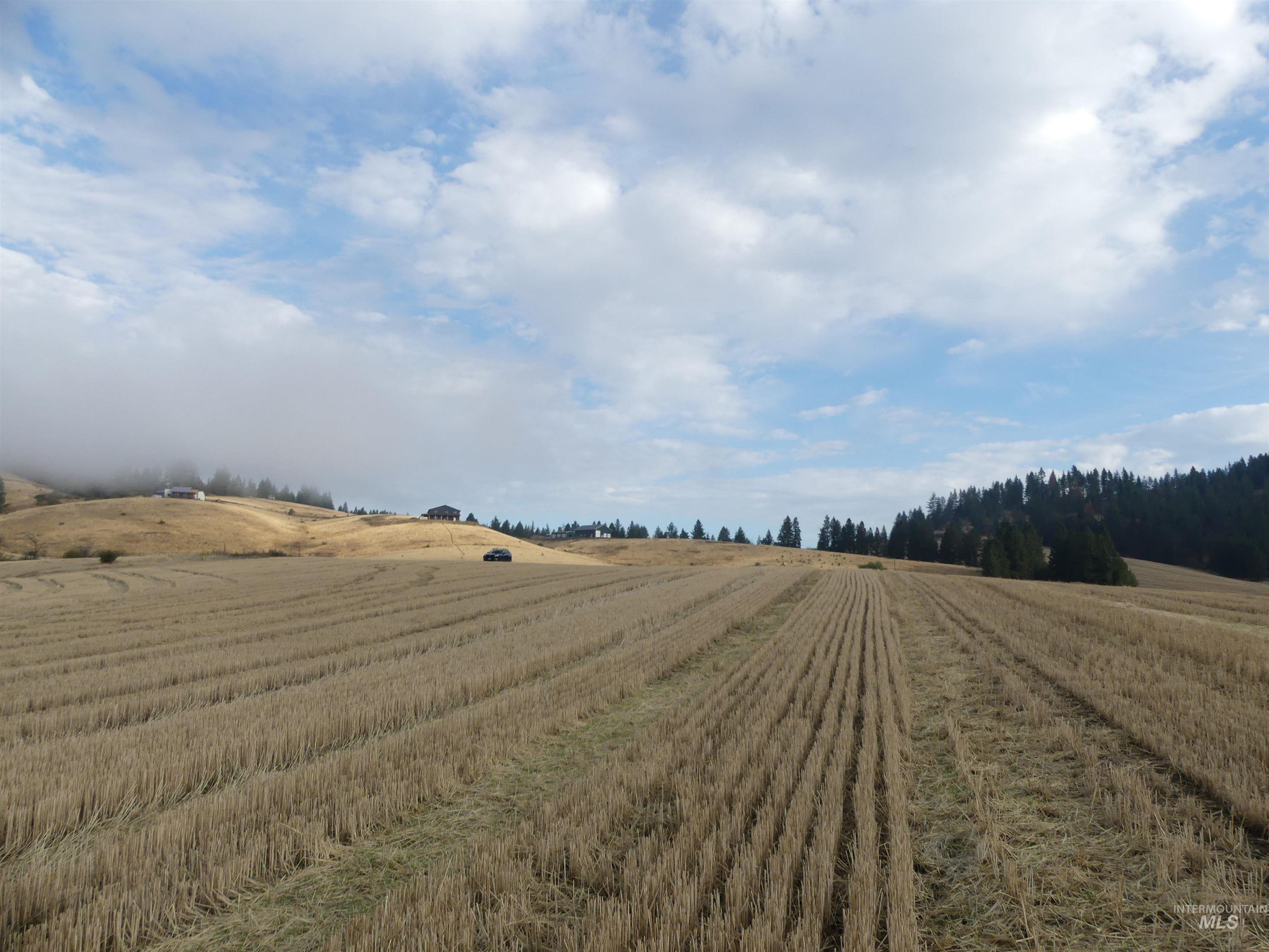 13525 CAVENDISH HWY, Kendrick, Idaho 83537, Land For Sale, Price $150,000,MLS 99001323