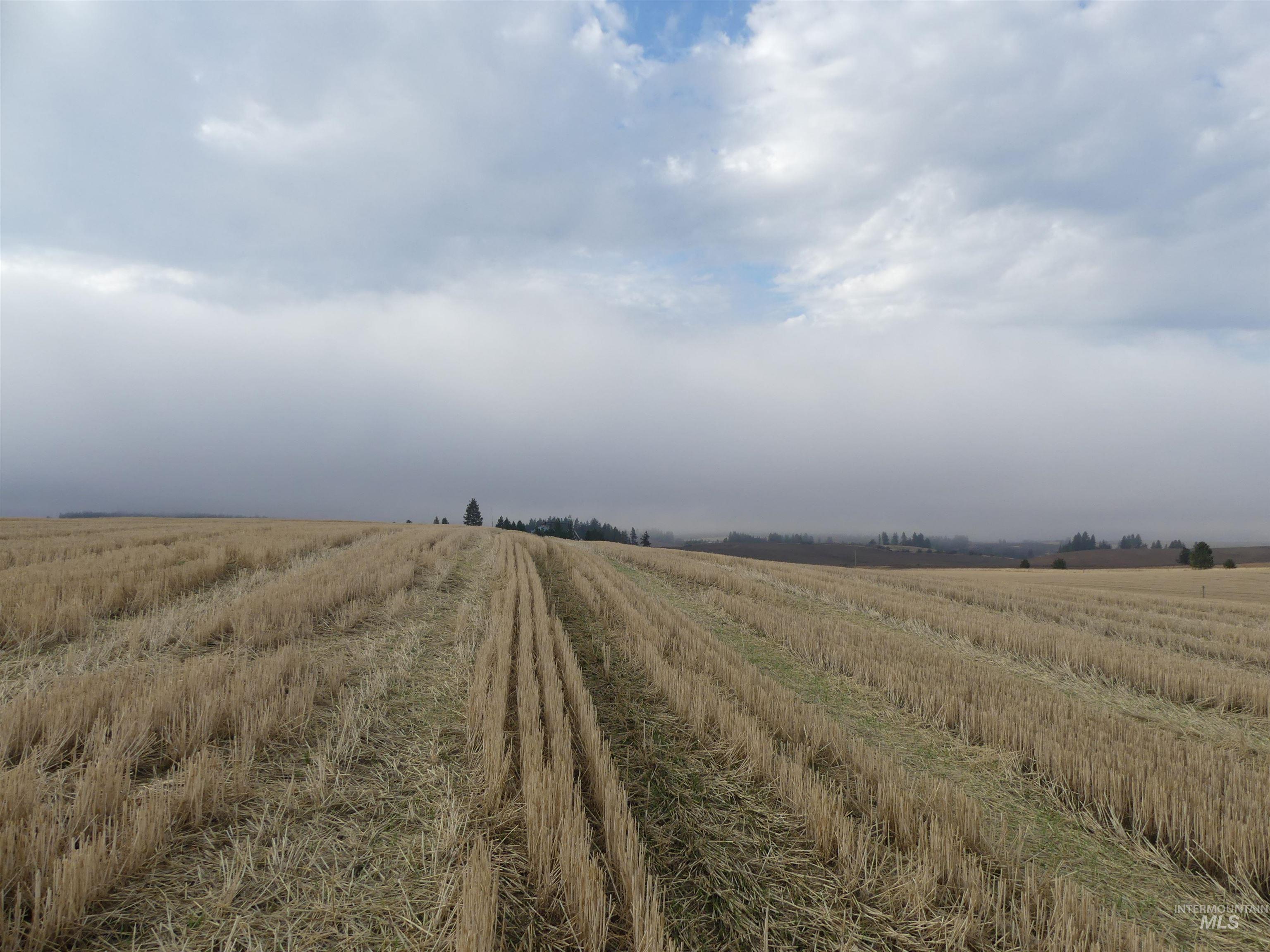13525 CAVENDISH HWY, Kendrick, Idaho 83537, Land For Sale, Price $150,000,MLS 99001323