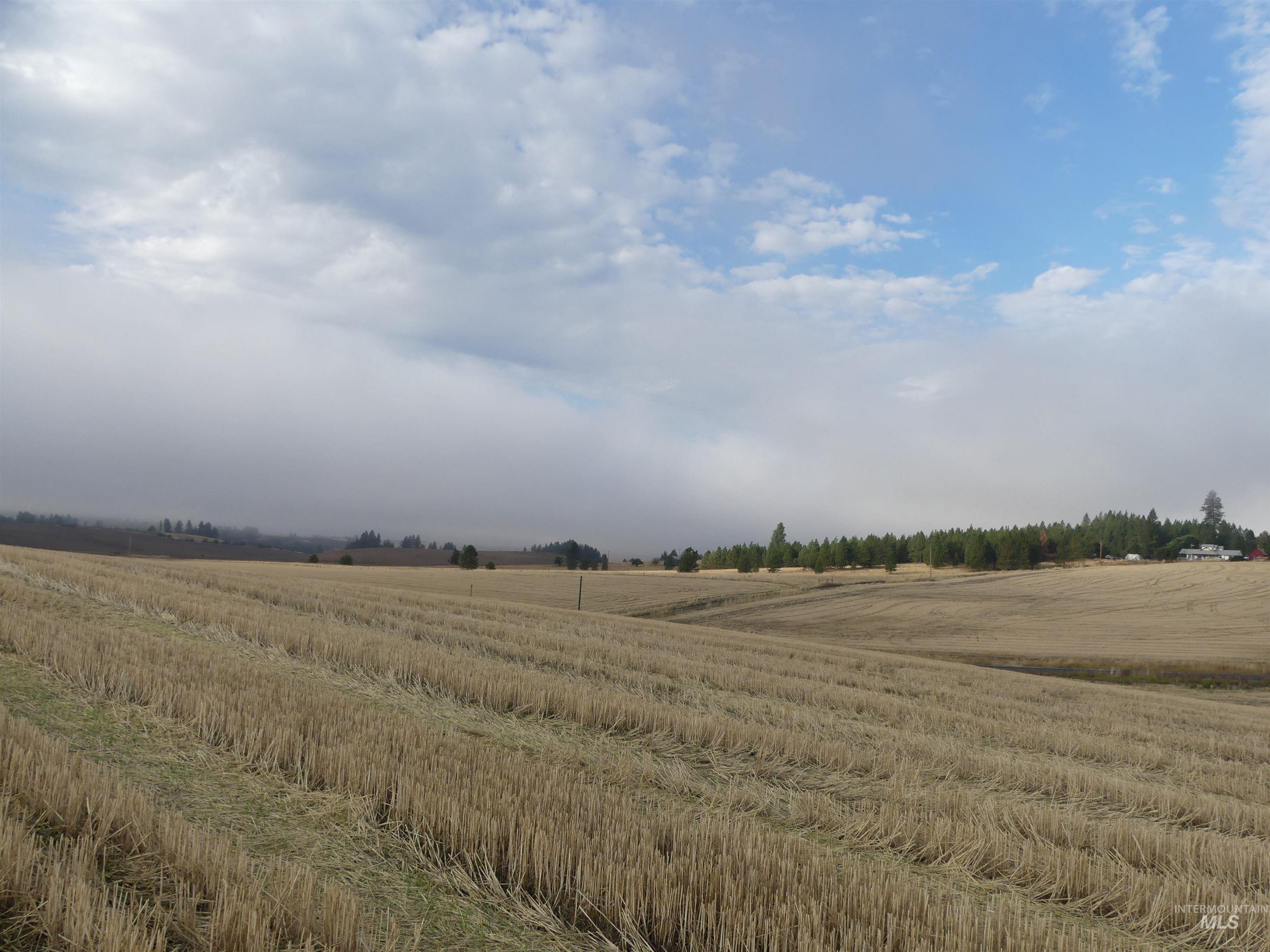 13525 CAVENDISH HWY, Kendrick, Idaho 83537, Land For Sale, Price $150,000,MLS 99001323