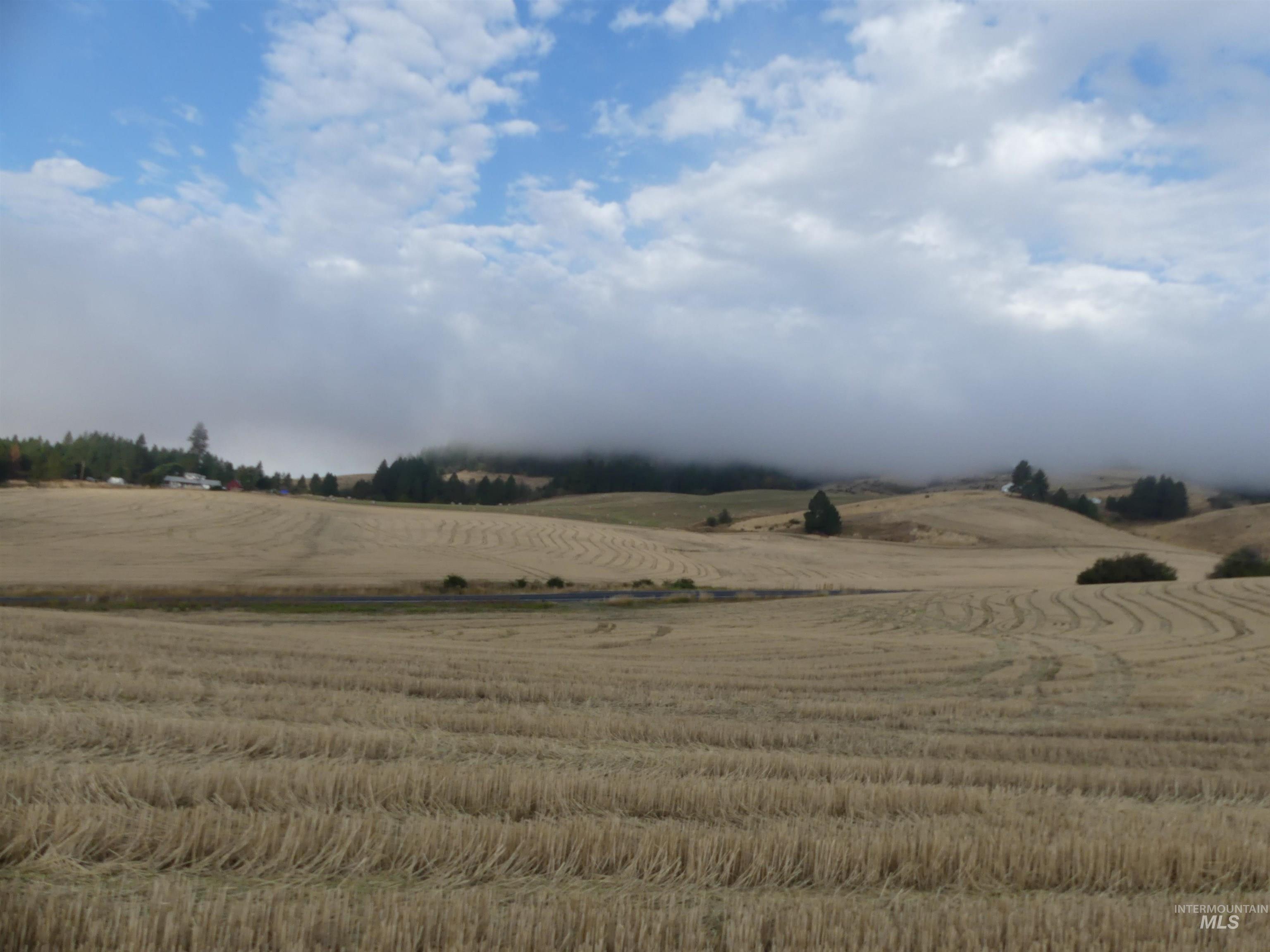 13525 CAVENDISH HWY, Kendrick, Idaho 83537, Land For Sale, Price $150,000,MLS 99001323