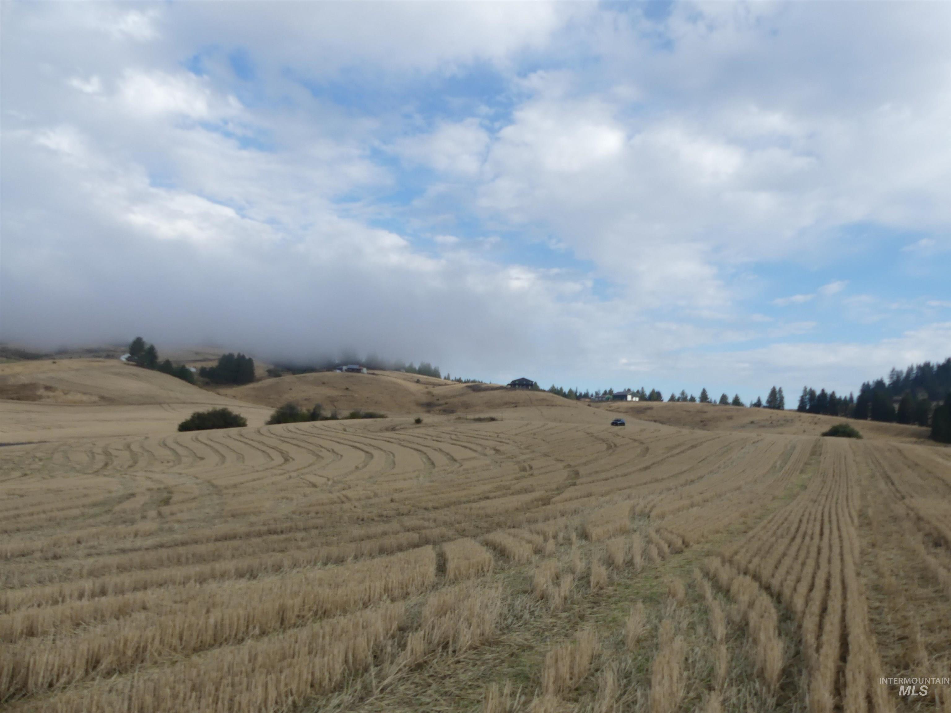 13525 CAVENDISH HWY, Kendrick, Idaho 83537, Land For Sale, Price $150,000,MLS 99001323