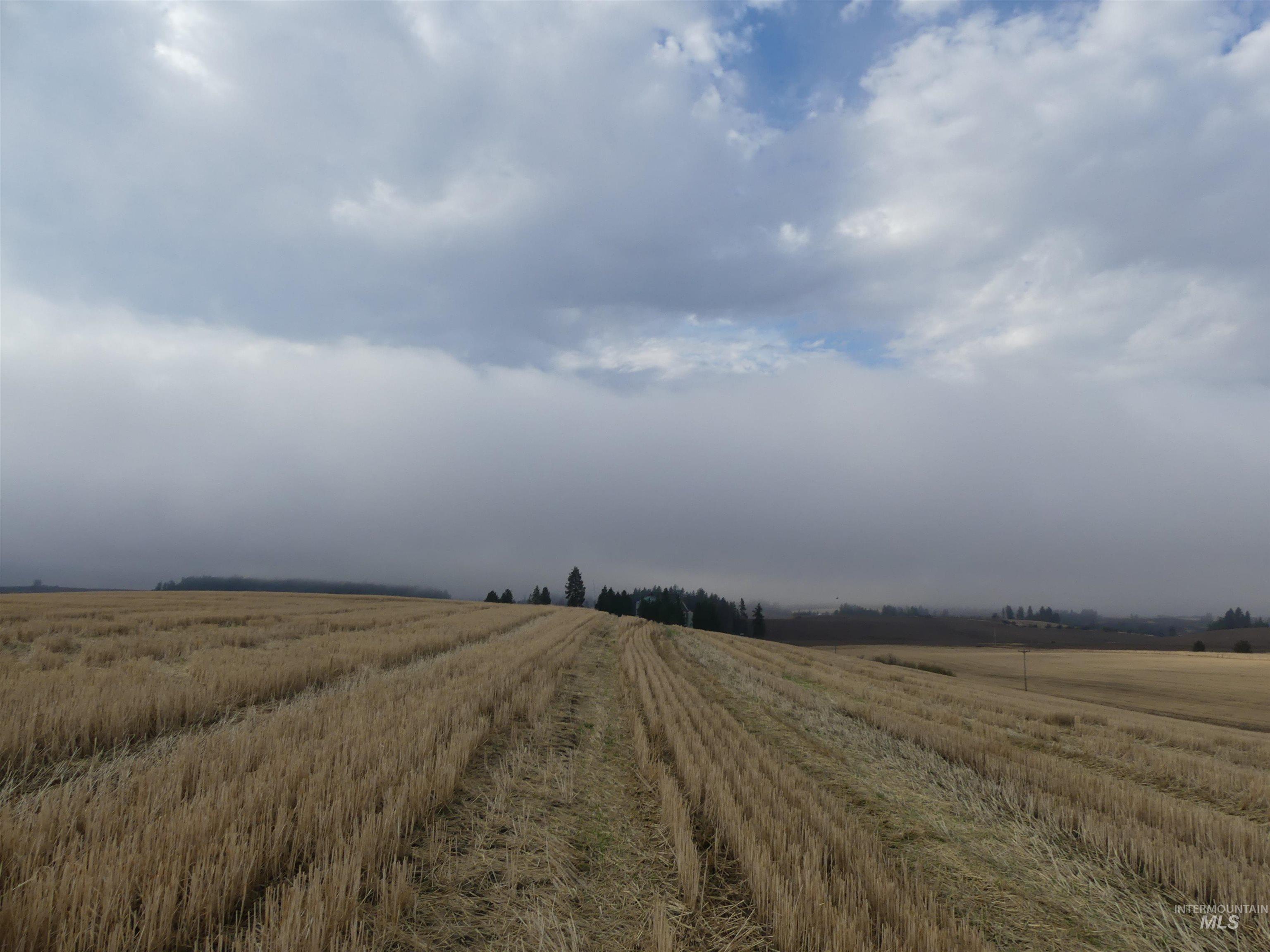 13525 CAVENDISH HWY, Kendrick, Idaho 83537, Land For Sale, Price $150,000,MLS 99001323