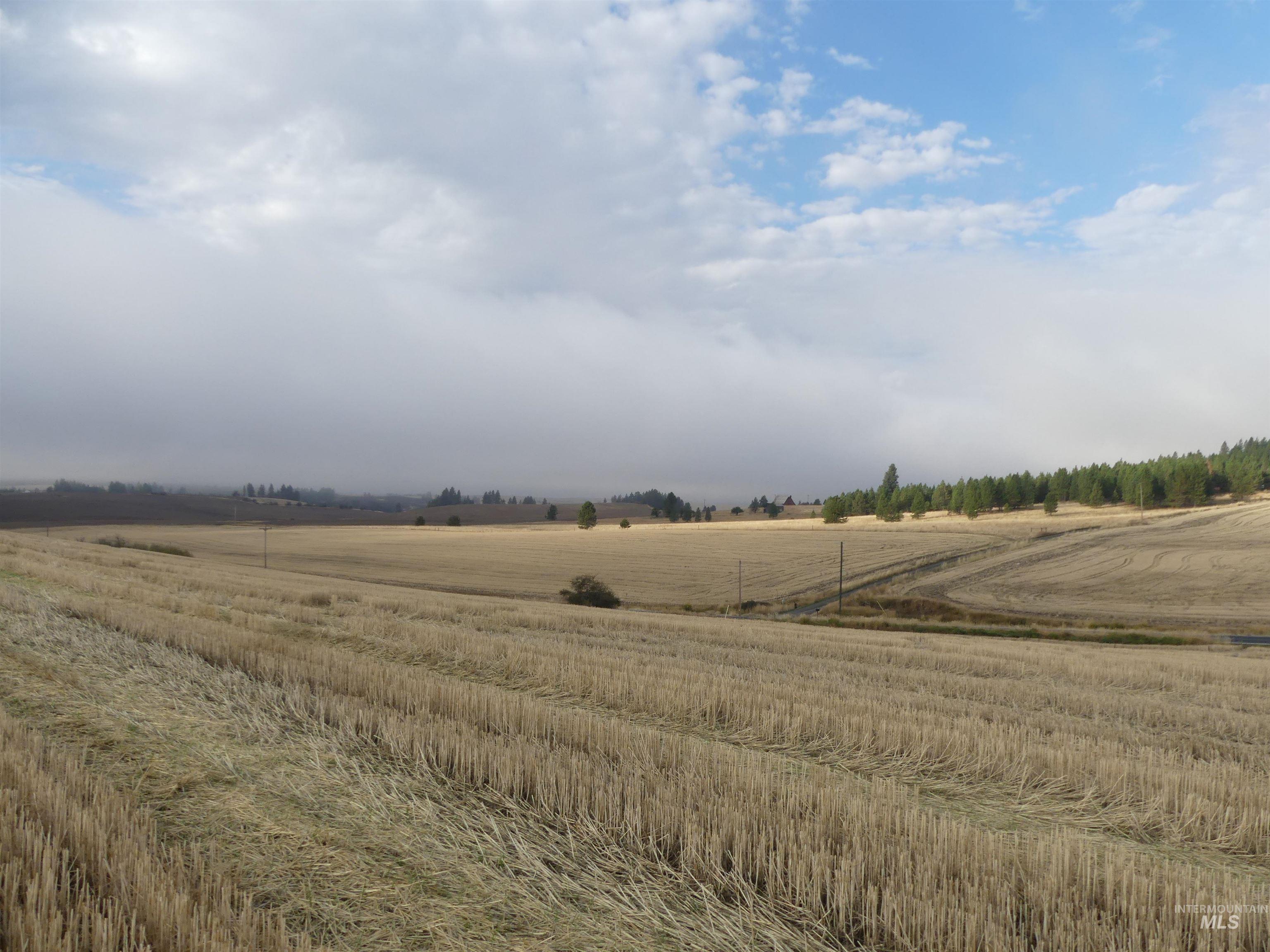 13525 CAVENDISH HWY, Kendrick, Idaho 83537, Land For Sale, Price $150,000,MLS 99001323