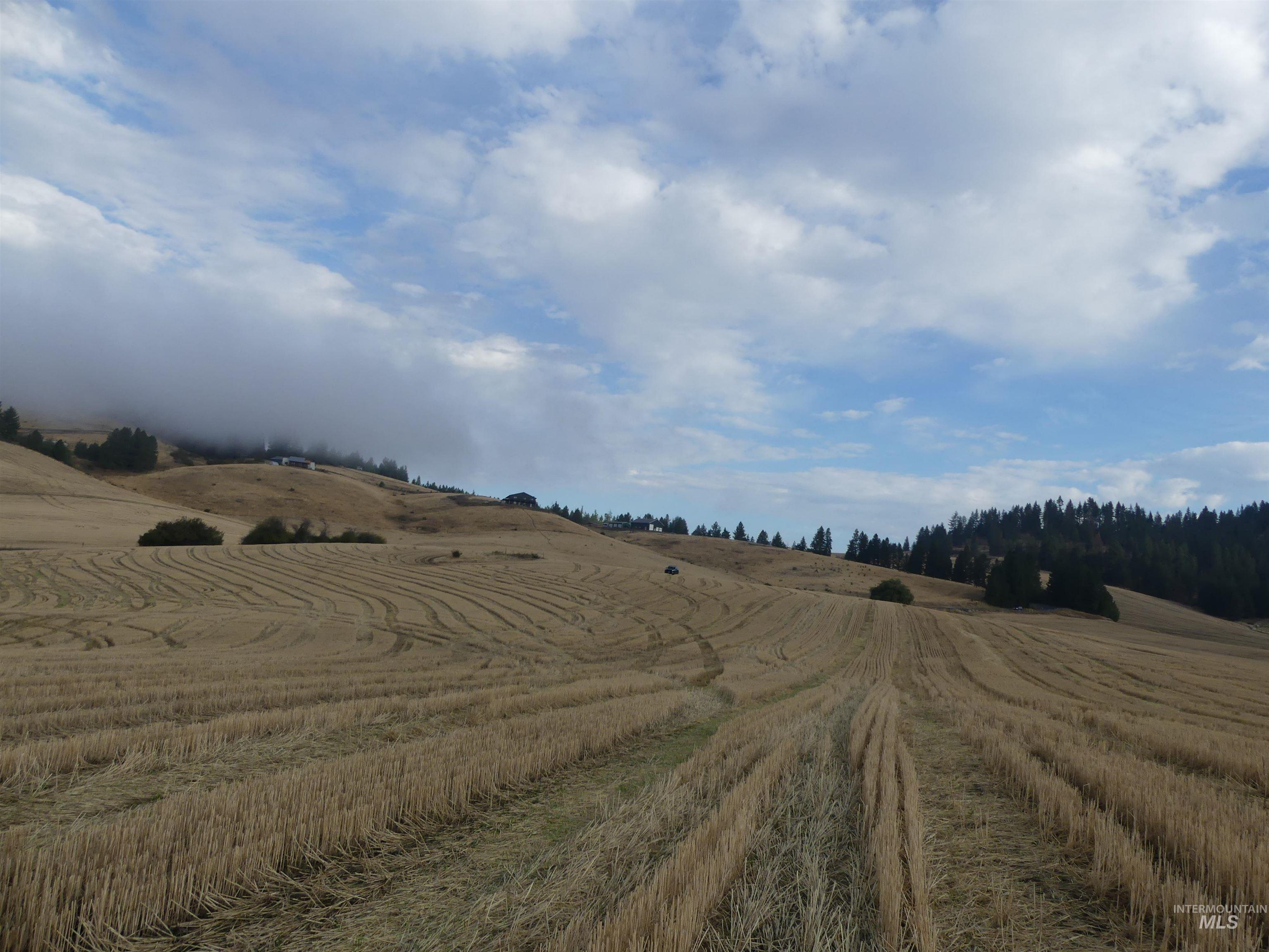13525 CAVENDISH HWY, Kendrick, Idaho 83537, Land For Sale, Price $150,000,MLS 99001323