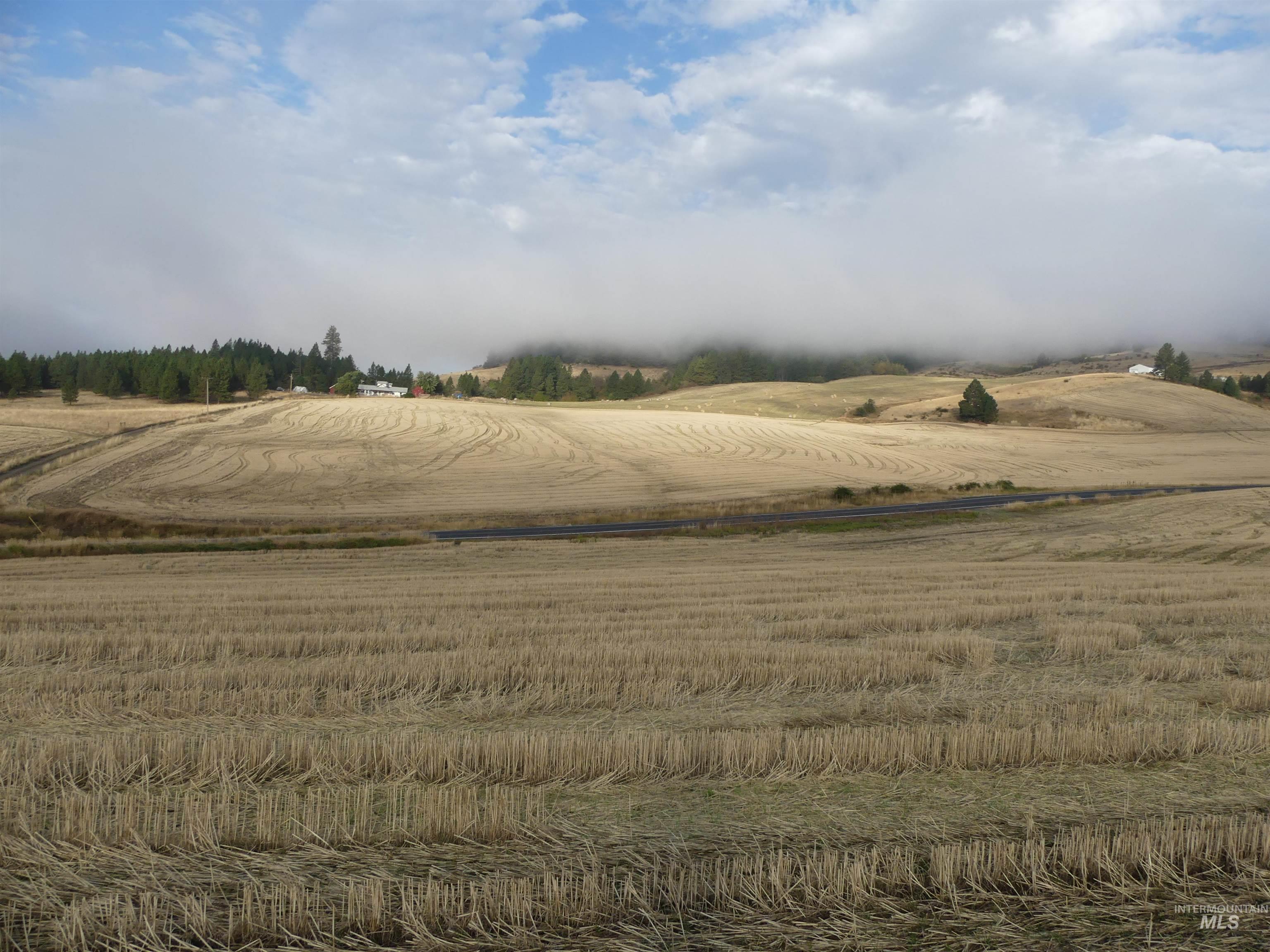 13525 CAVENDISH HWY, Kendrick, Idaho 83537, Land For Sale, Price $150,000,MLS 99001323