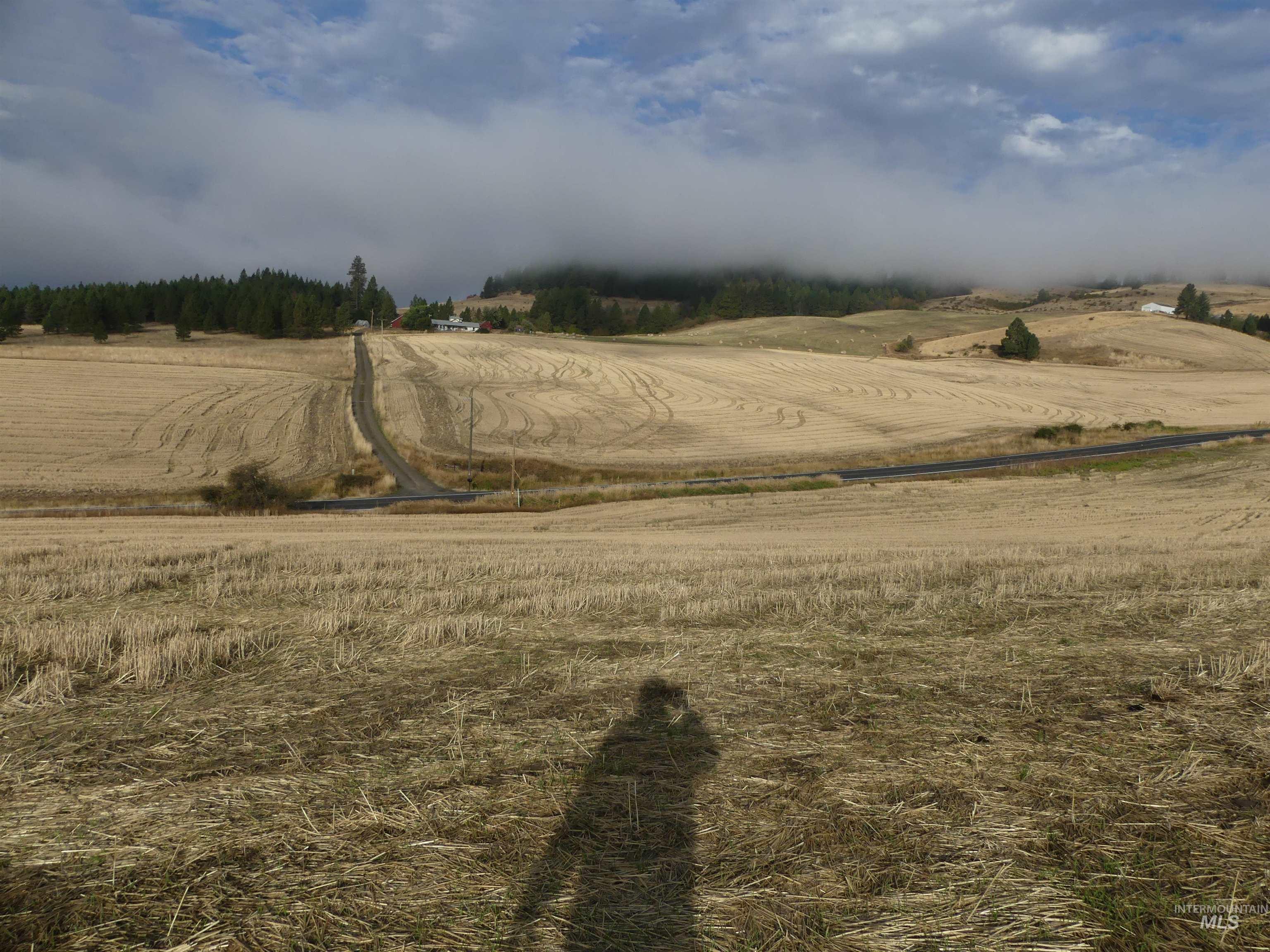 13525 CAVENDISH HWY, Kendrick, Idaho 83537, Land For Sale, Price $150,000,MLS 99001323