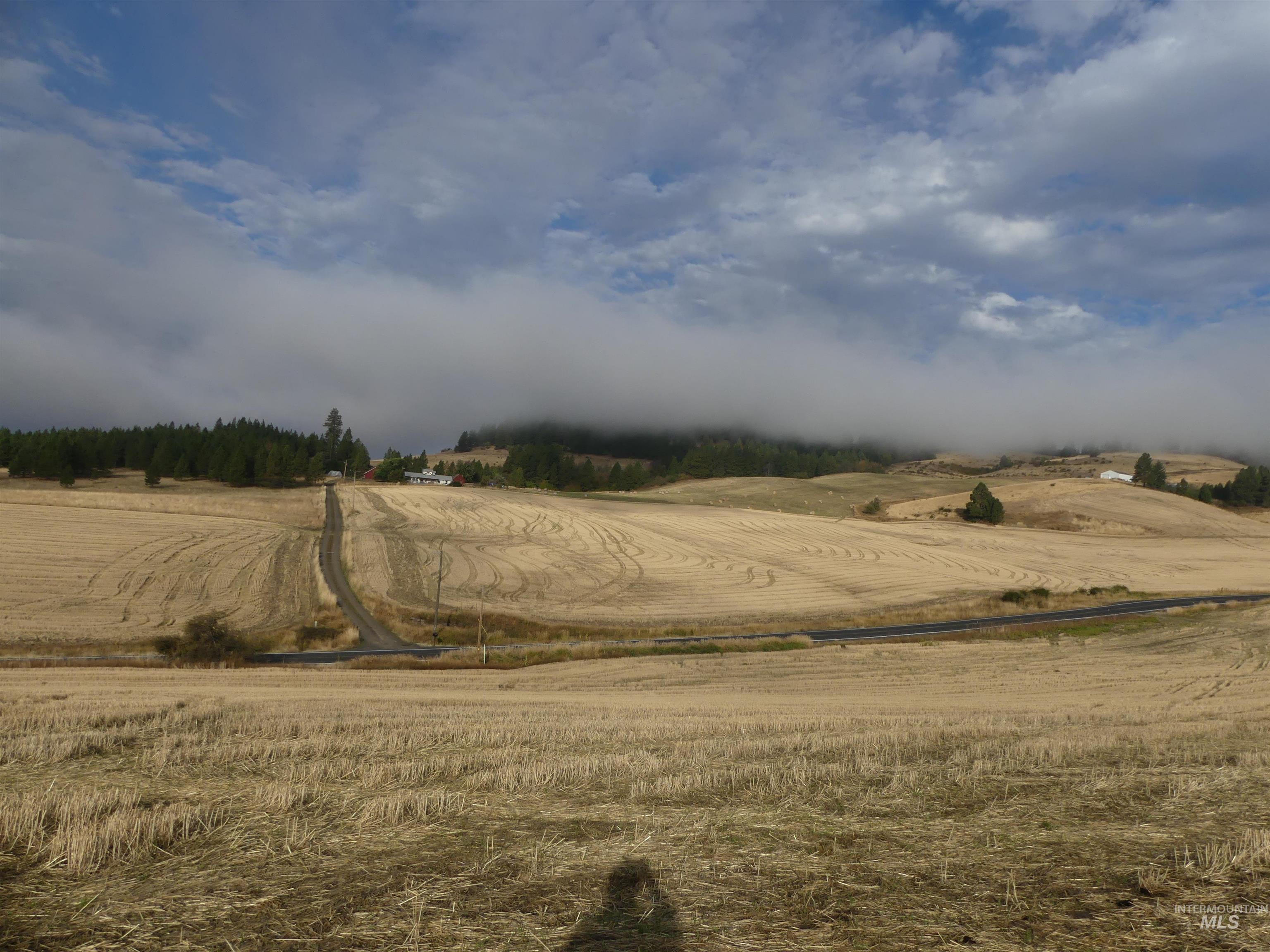 13525 CAVENDISH HWY, Kendrick, Idaho 83537, Land For Sale, Price $150,000,MLS 99001323