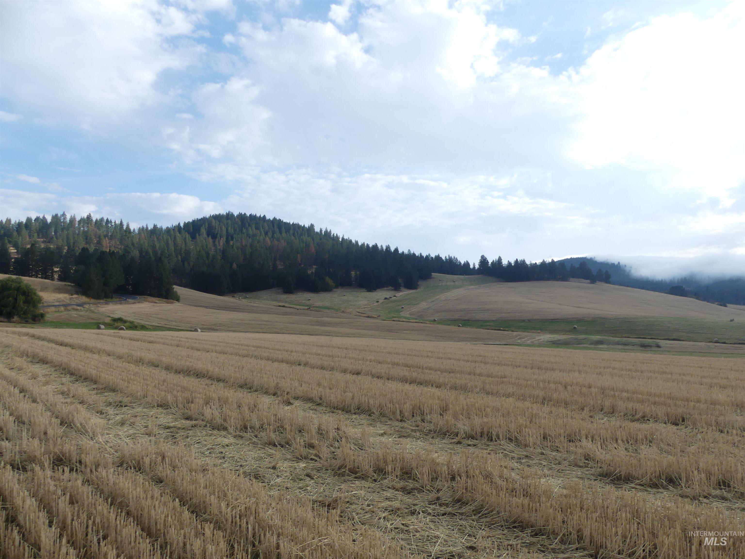 13525 CAVENDISH HWY, Kendrick, Idaho 83537, Land For Sale, Price $150,000,MLS 99001323