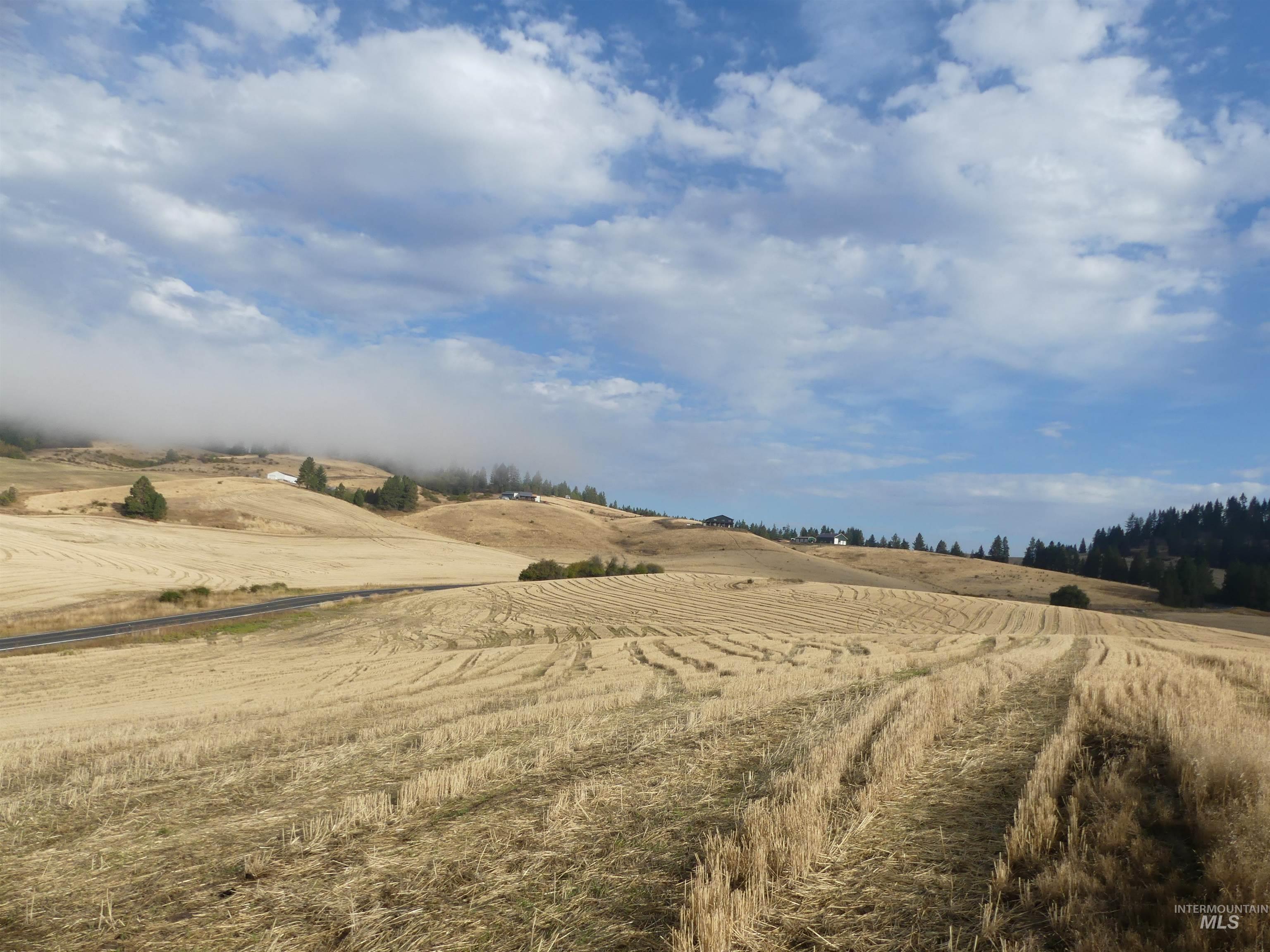 13525 CAVENDISH HWY, Kendrick, Idaho 83537, Land For Sale, Price $150,000,MLS 99001323