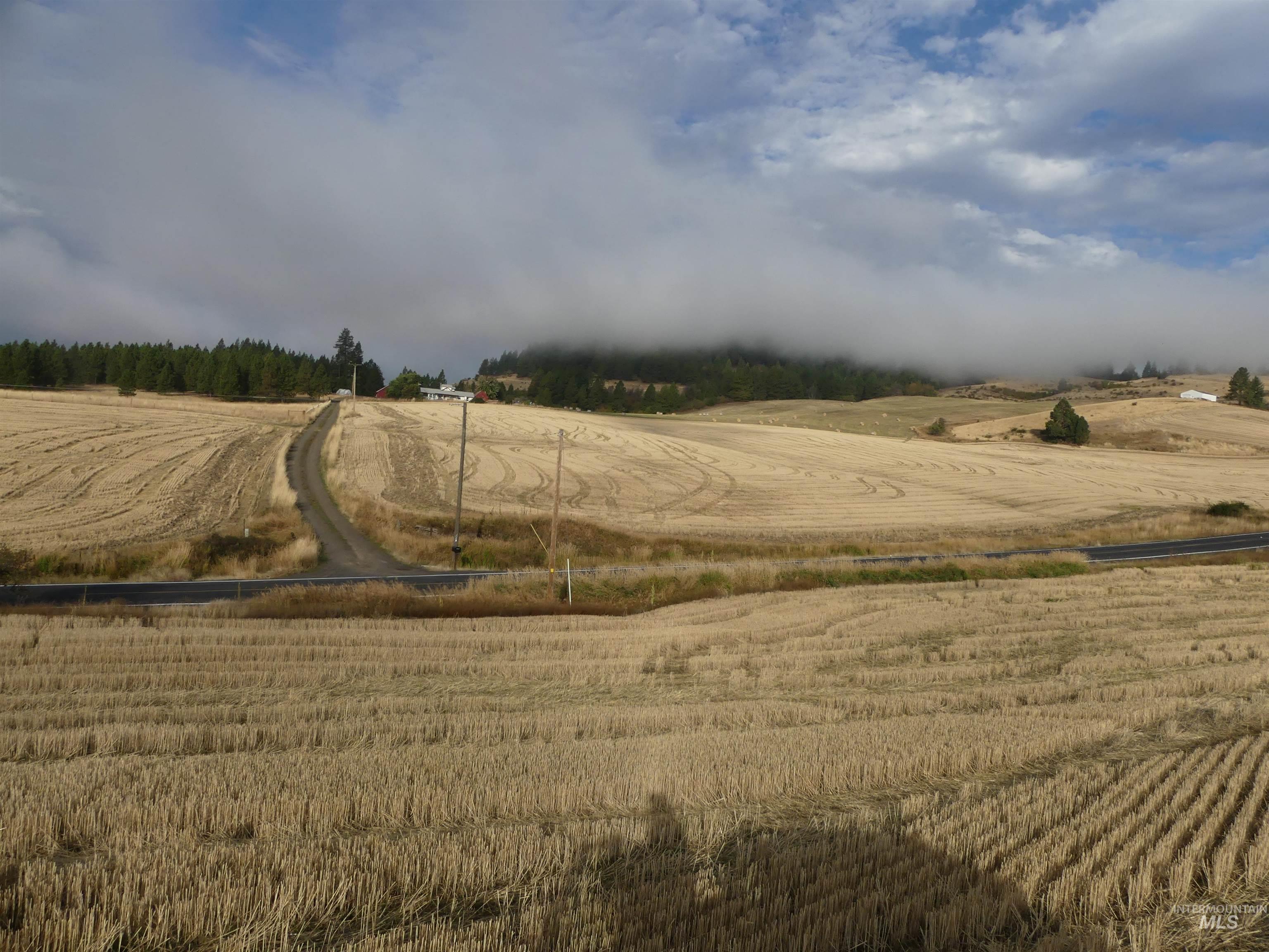 13525 CAVENDISH HWY, Kendrick, Idaho 83537, Land For Sale, Price $150,000,MLS 99001323