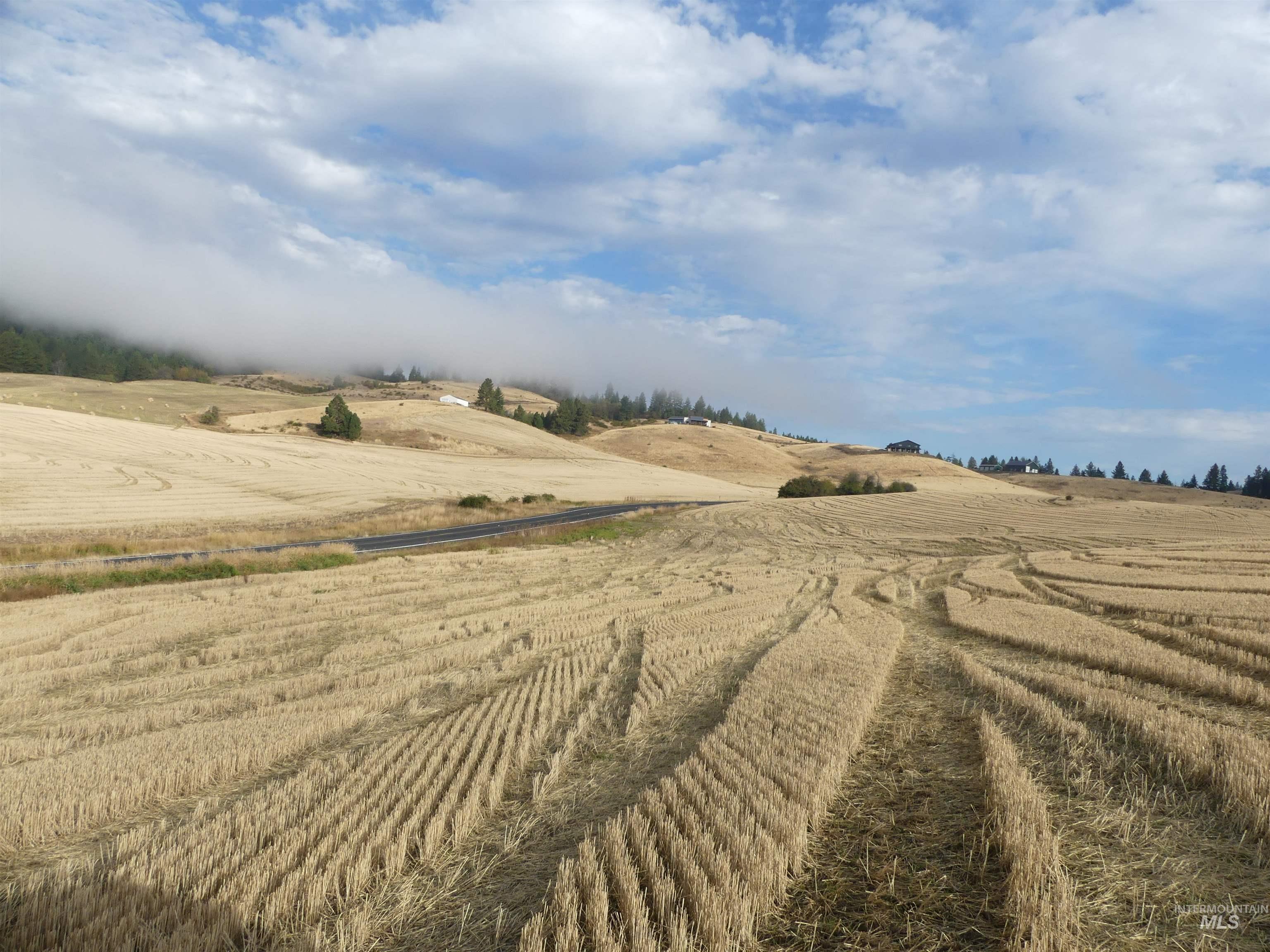 13525 CAVENDISH HWY, Kendrick, Idaho 83537, Land For Sale, Price $150,000,MLS 99001323