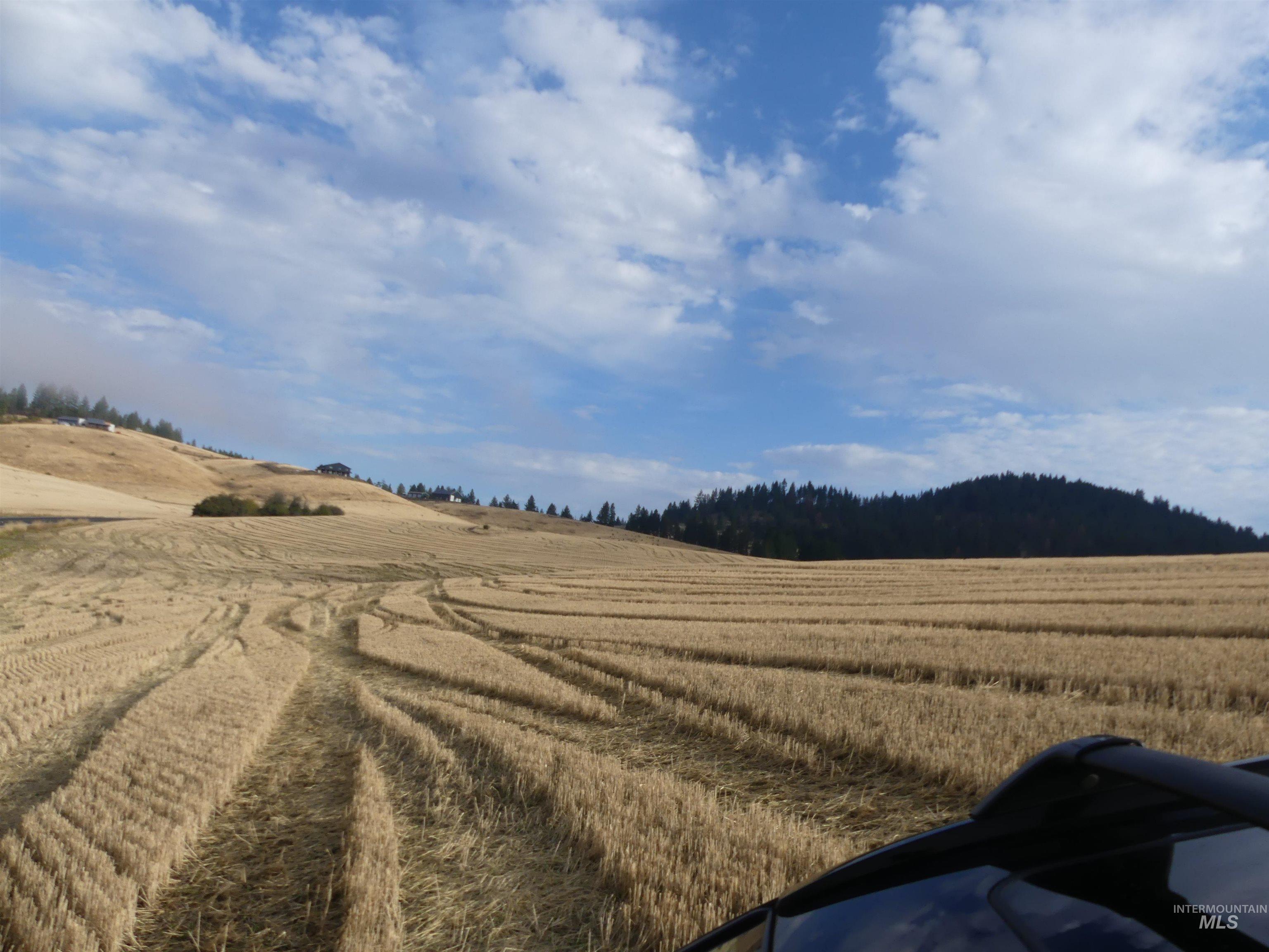 13525 CAVENDISH HWY, Kendrick, Idaho 83537, Land For Sale, Price $150,000,MLS 99001323