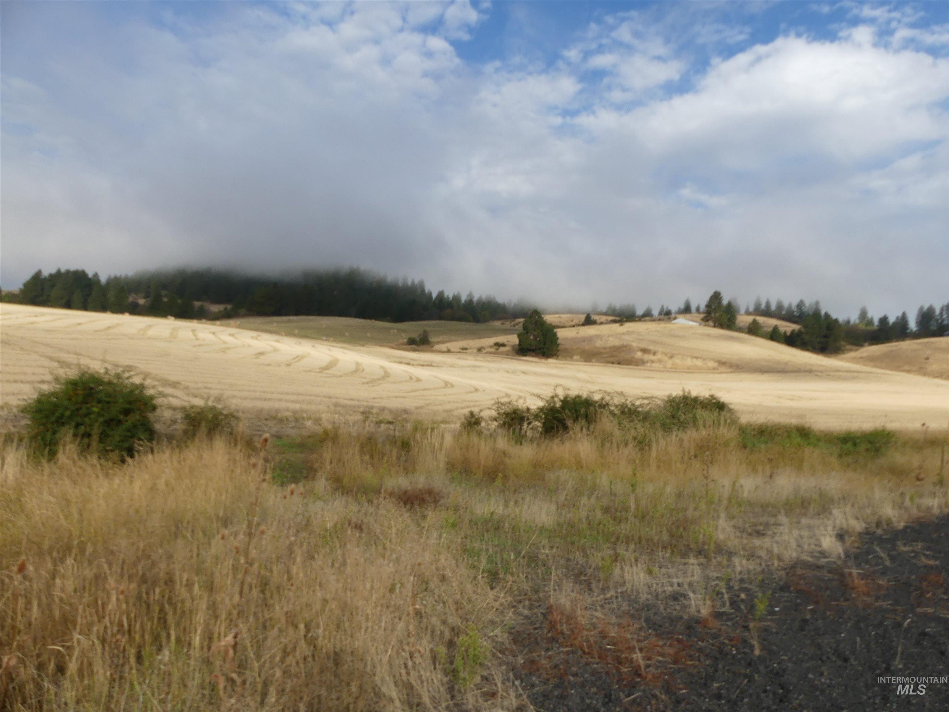 13525 CAVENDISH HWY, Kendrick, Idaho 83537, Land For Sale, Price $150,000,MLS 99001323