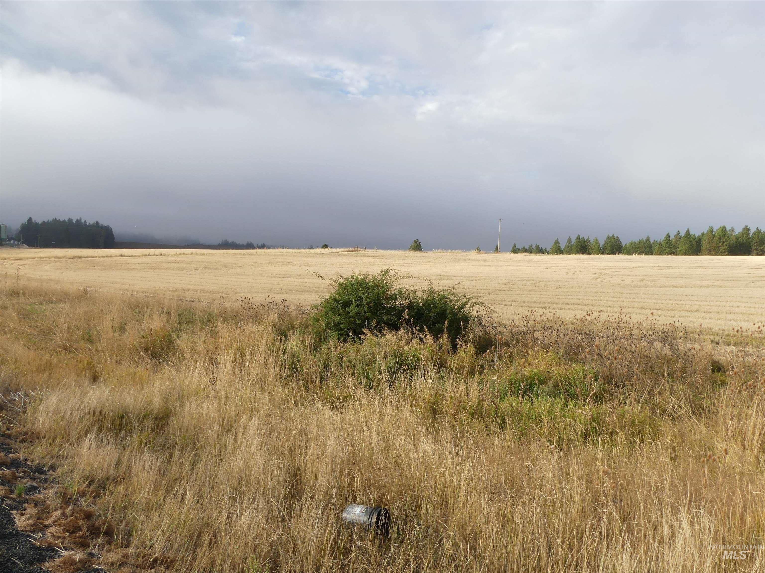 13525 CAVENDISH HWY, Kendrick, Idaho 83537, Land For Sale, Price $150,000,MLS 99001323