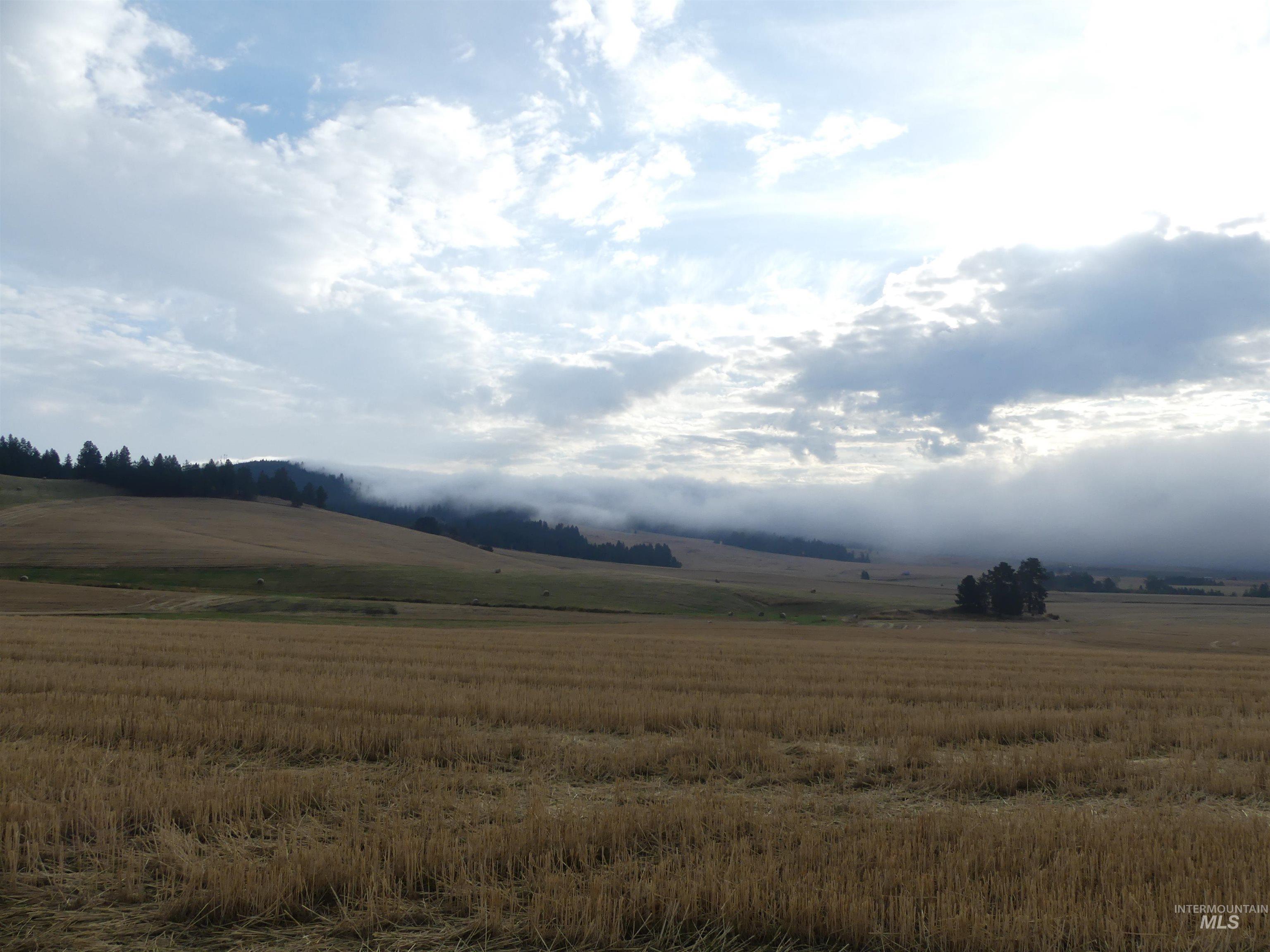 13525 CAVENDISH HWY, Kendrick, Idaho 83537, Land For Sale, Price $150,000,MLS 99001323