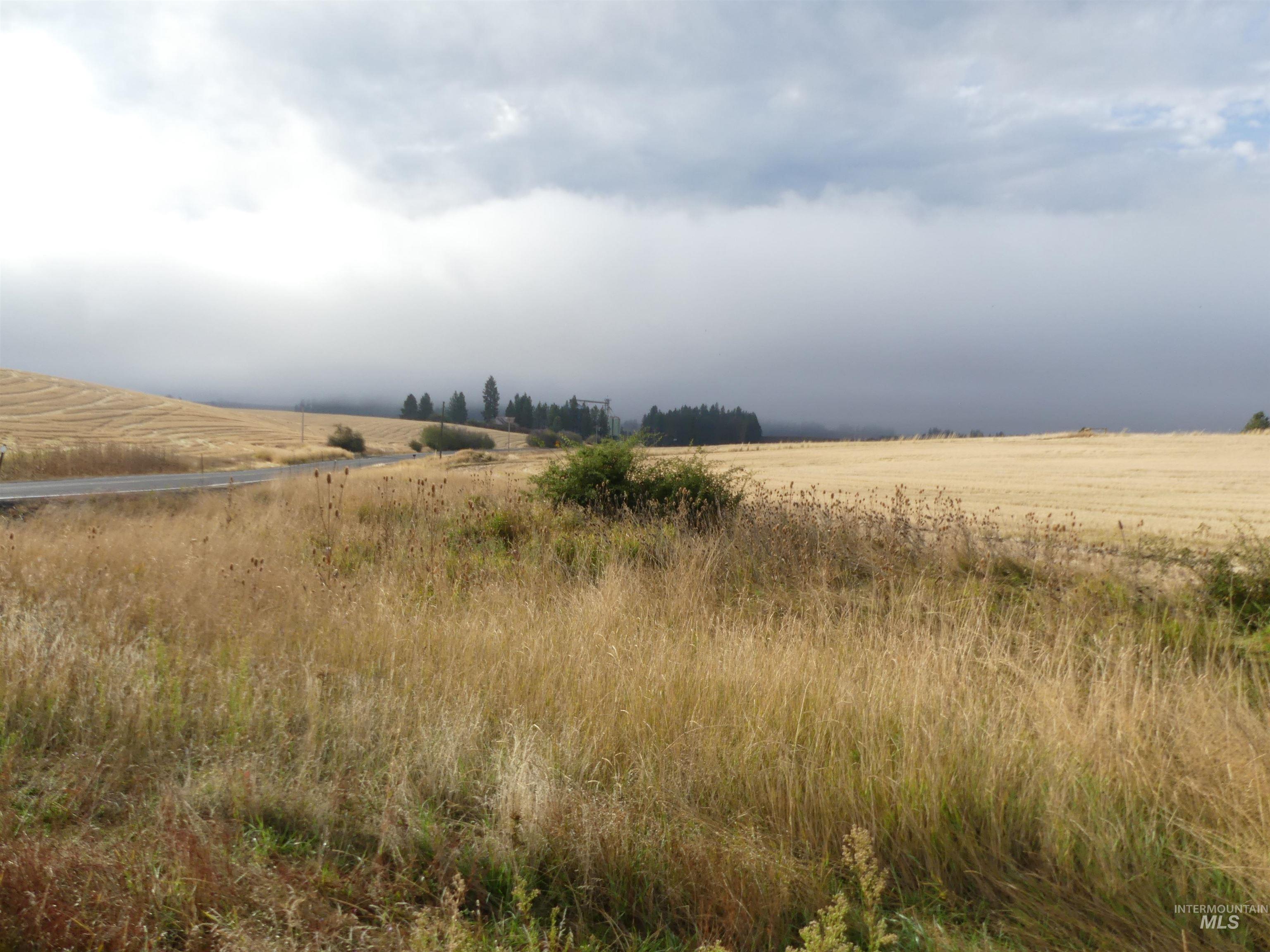 13525 CAVENDISH HWY, Kendrick, Idaho 83537, Land For Sale, Price $150,000,MLS 99001323