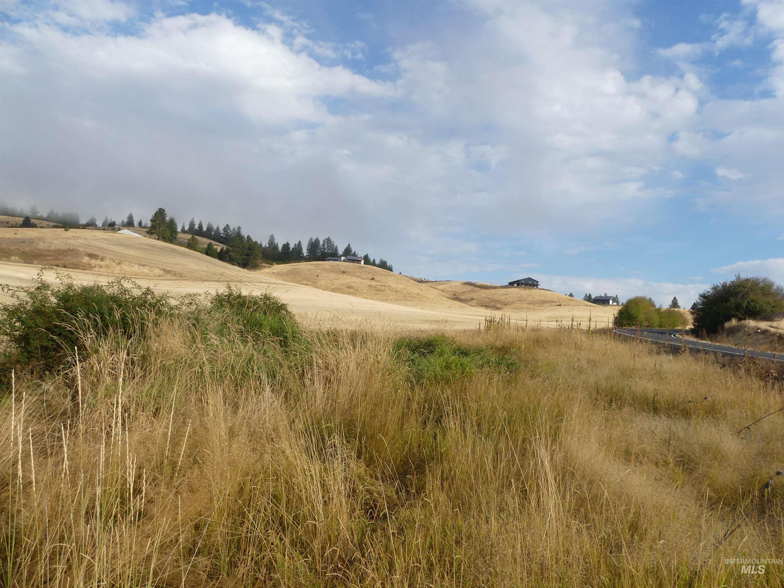 13525 CAVENDISH HWY, Kendrick, Idaho 83537, Land For Sale, Price $150,000,MLS 99001323