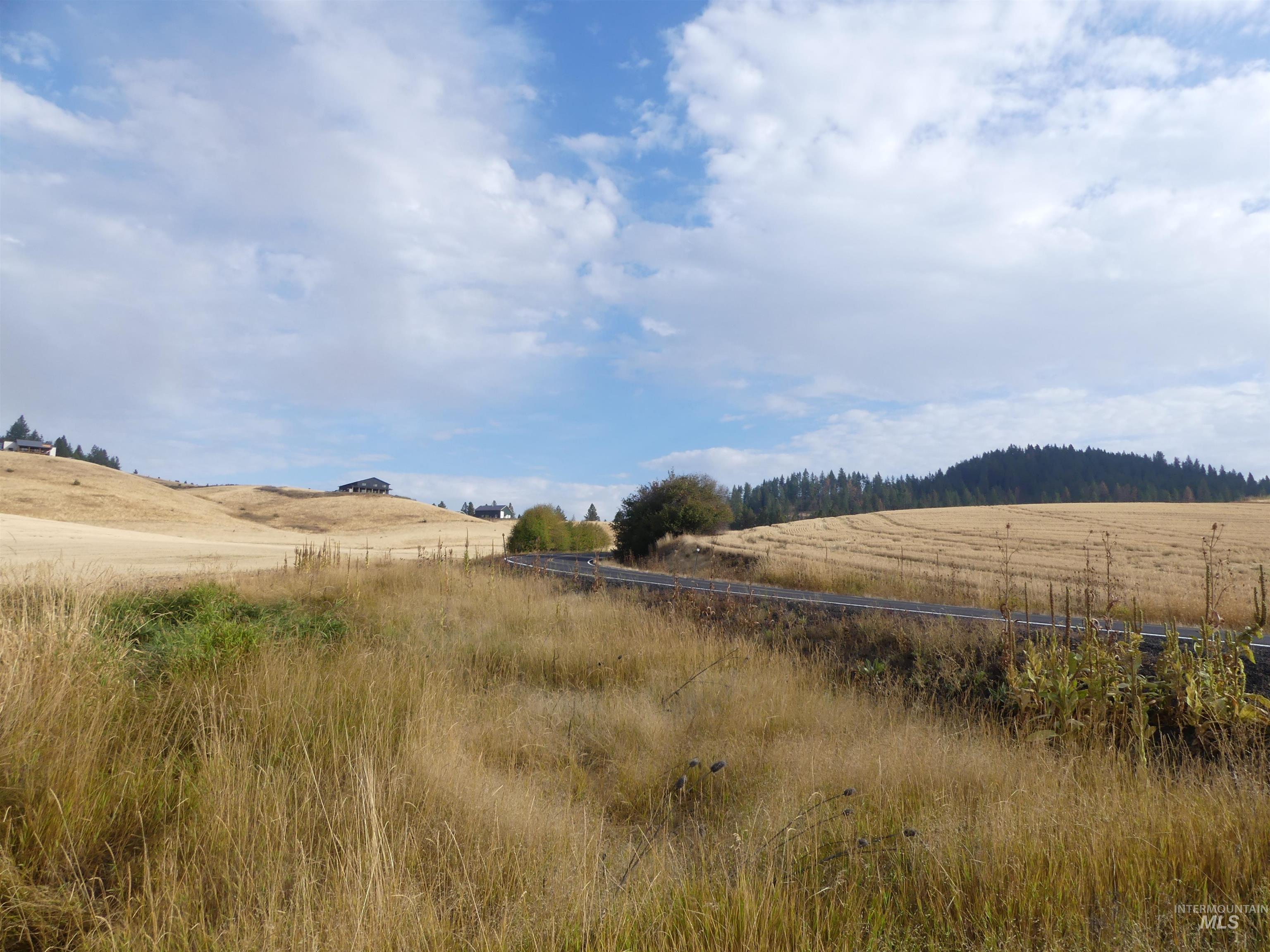 13525 CAVENDISH HWY, Kendrick, Idaho 83537, Land For Sale, Price $150,000,MLS 99001323