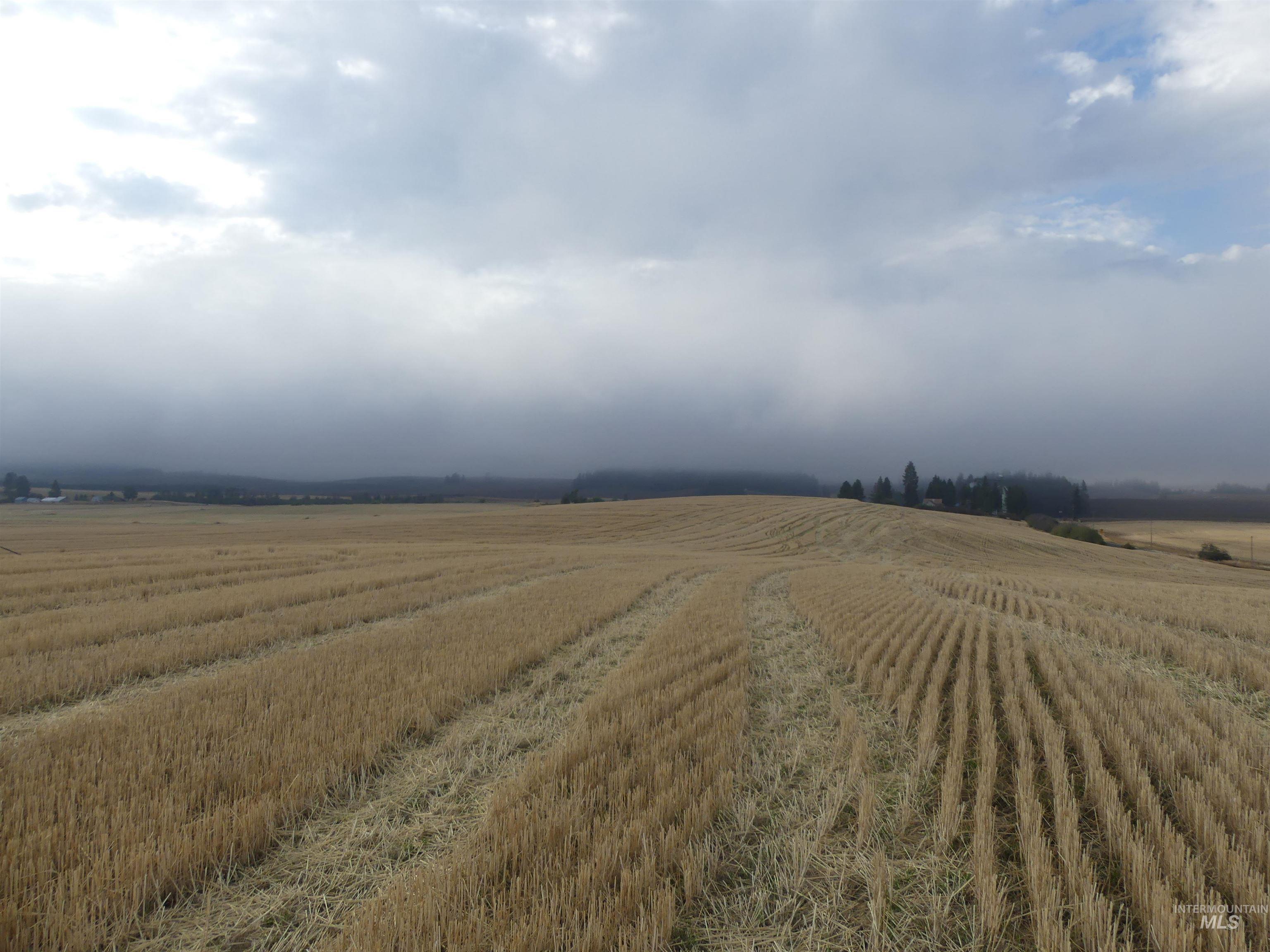 13525 CAVENDISH HWY, Kendrick, Idaho 83537, Land For Sale, Price $150,000,MLS 99001323