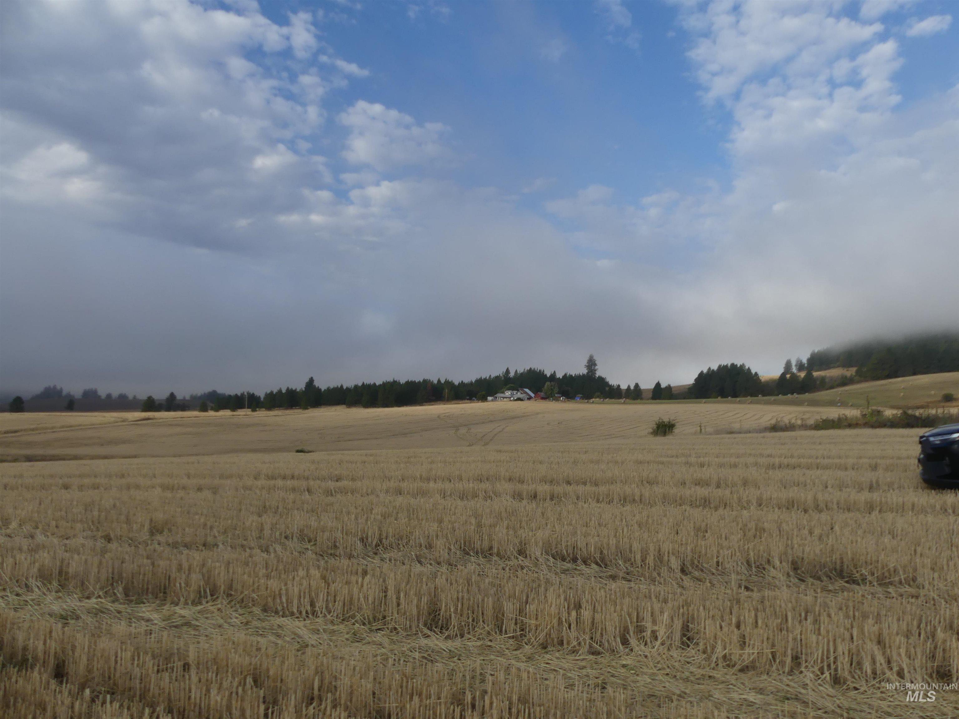 13525 CAVENDISH HWY, Kendrick, Idaho 83537, Land For Sale, Price $150,000,MLS 99001323
