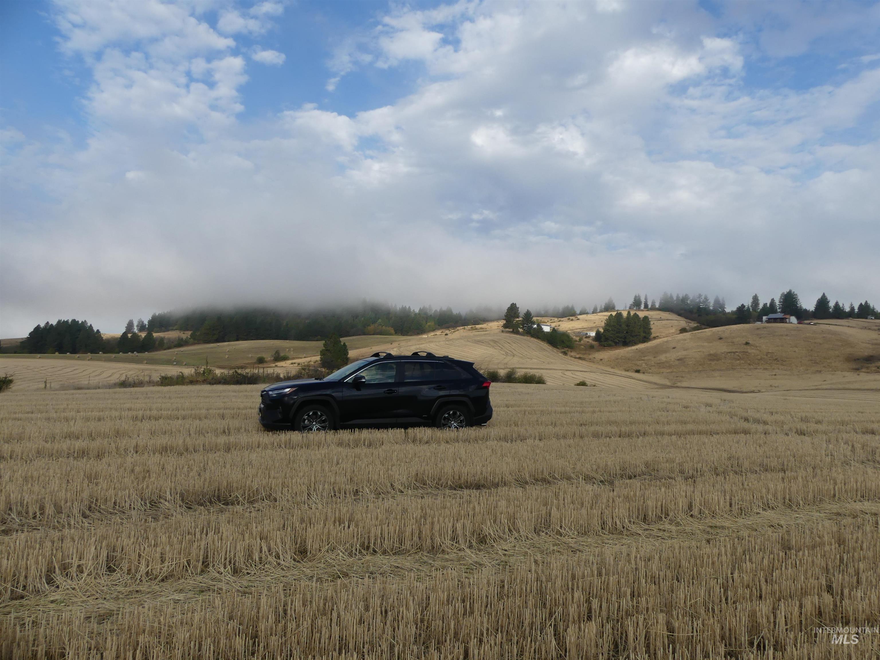 13525 CAVENDISH HWY, Kendrick, Idaho 83537, Land For Sale, Price $150,000,MLS 99001323