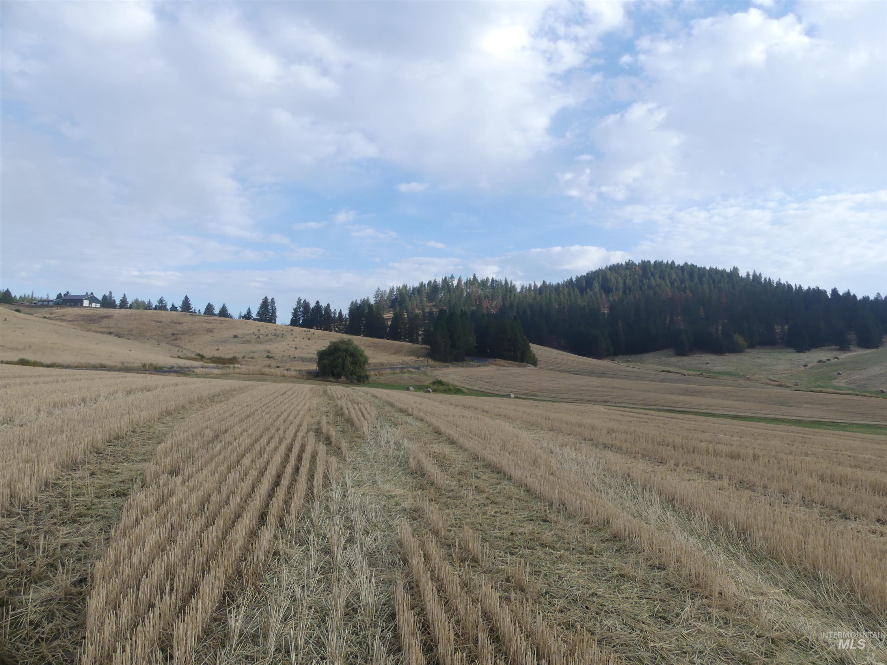 13525 CAVENDISH HWY, Kendrick, Idaho 83537, Land For Sale, Price $150,000,MLS 99001323