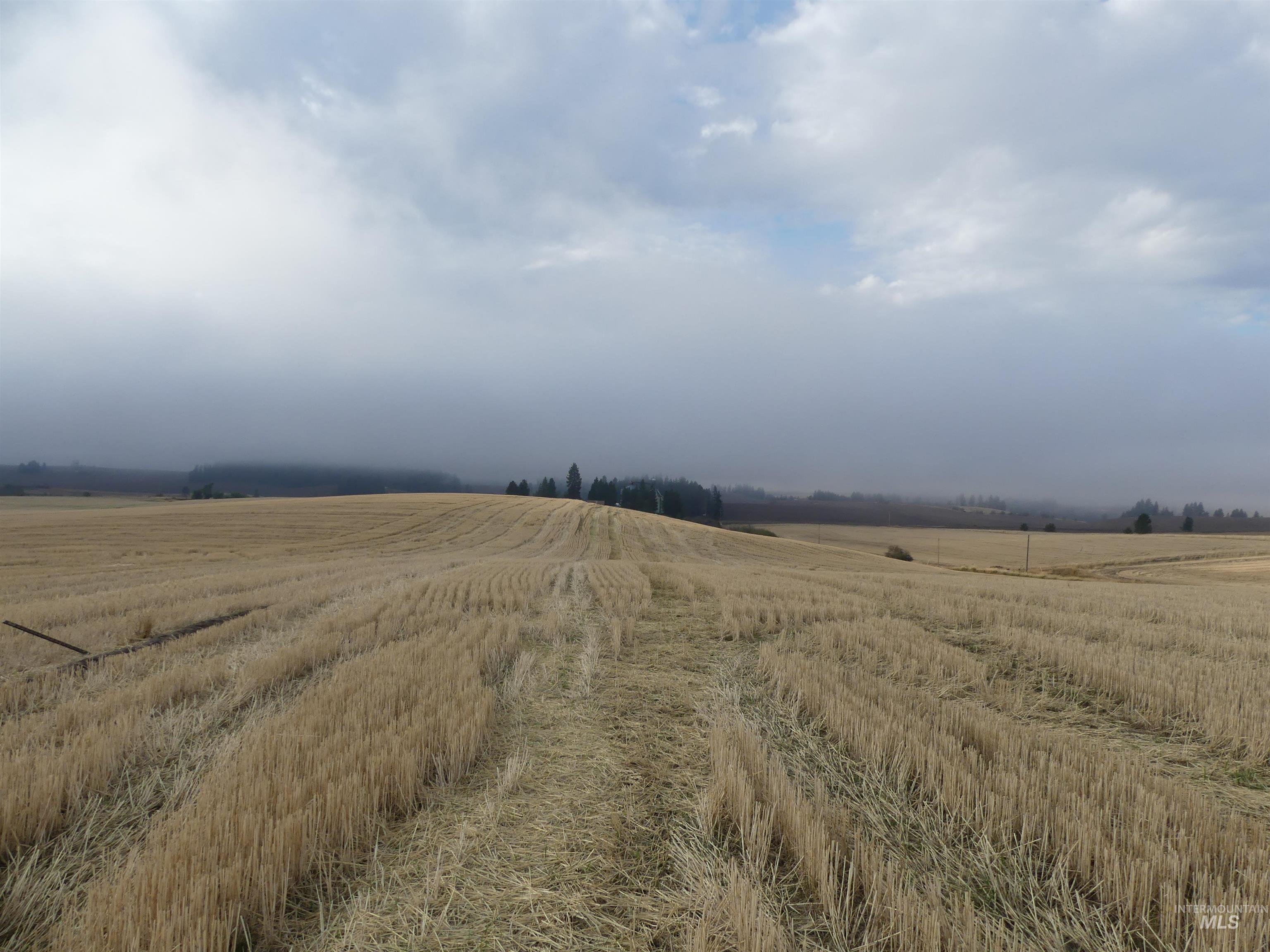 13525 CAVENDISH HWY, Kendrick, Idaho 83537, Land For Sale, Price $150,000,MLS 99001323