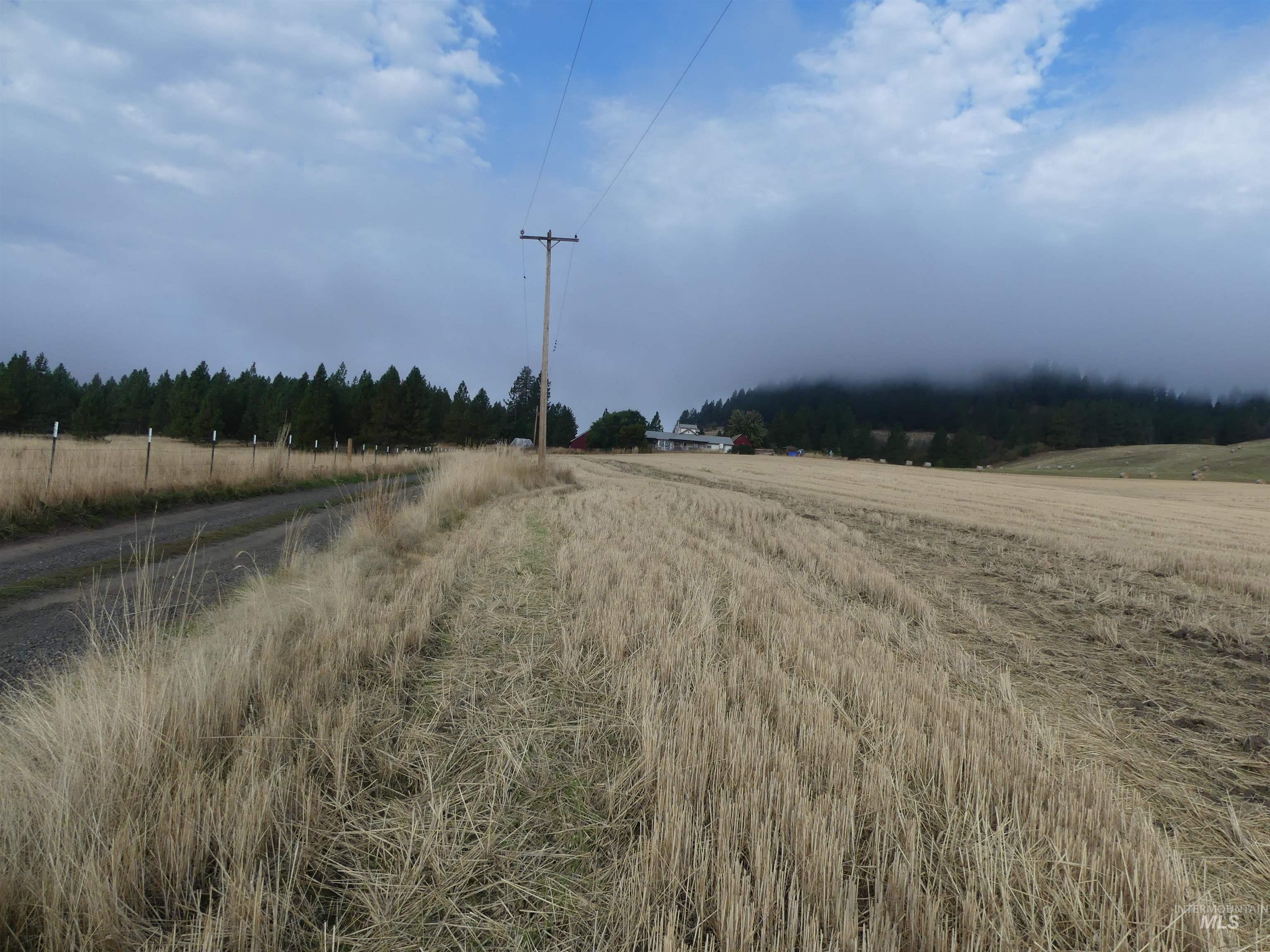 13500 CAVENDISH HWY, Kendrick, Idaho 83537, Land For Sale, Price $335,000, 99001325