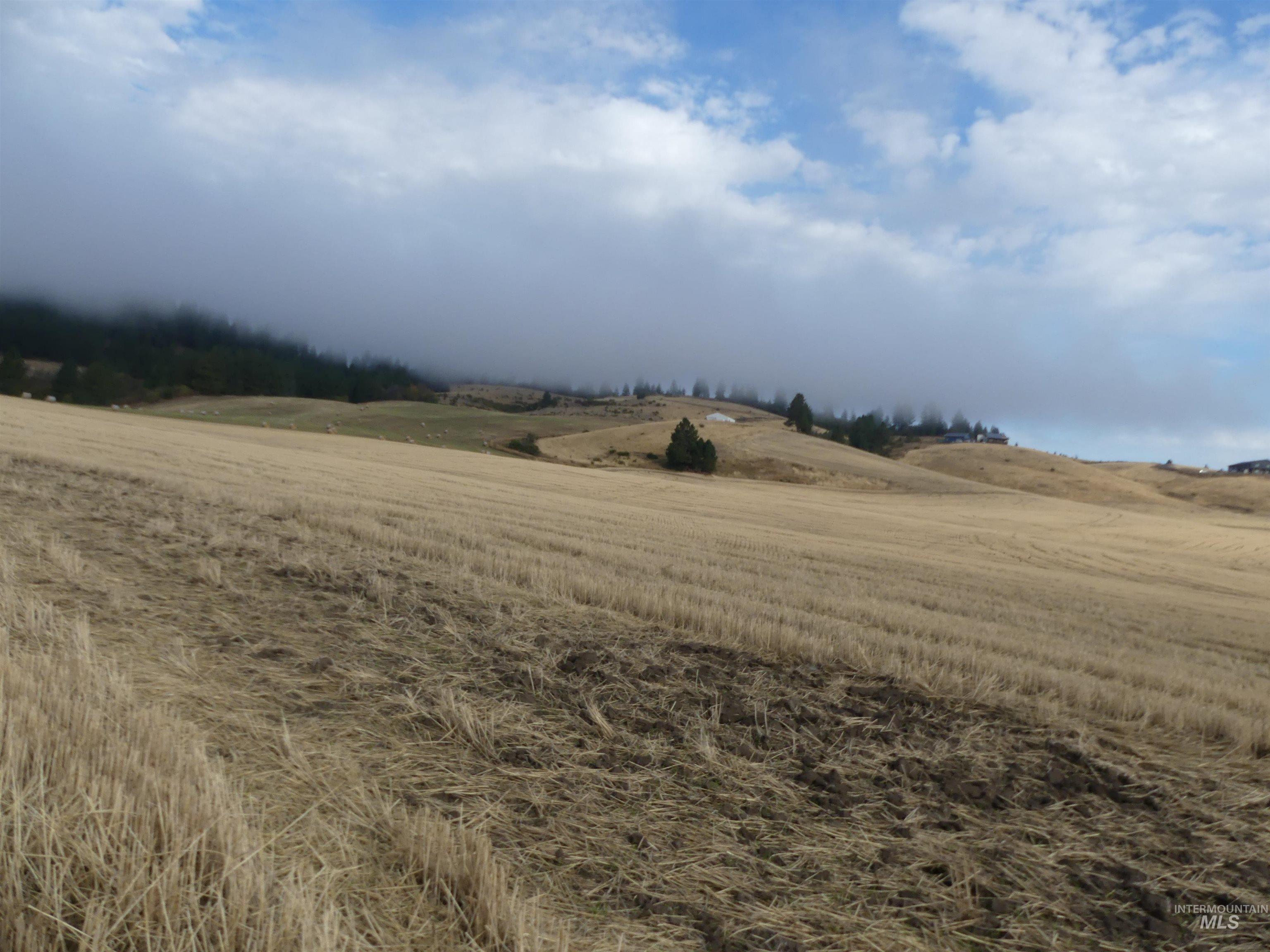 13500 CAVENDISH HWY, Kendrick, Idaho 83537, Land For Sale, Price $335,000, 99001325